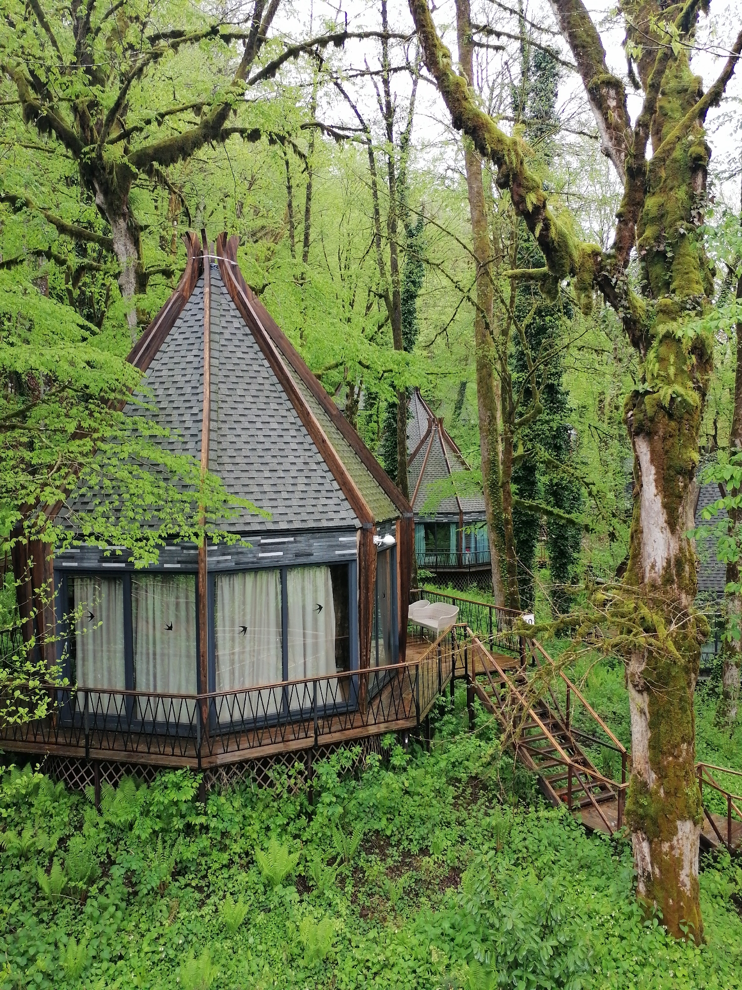 The image depicts treehouse accommodations in a lush, green environment, likely within or near the city of Medoveevka, Russia. The treehouses have a unique hexagonal or octagonal design with dark gray shingle roofs and large windows covered with light-colored curtains. The structures are elevated above the forest floor and connected by wooden walkways and stairs, with dark metal railing on the decks. The surrounding forest is dense with vibrant green vegetation, including trees covered in moss and ferns growing on the ground. The sky is overcast, suggesting a cloudy or possibly rainy day. The scene conveys a sense of natural tranquility and seclusion.