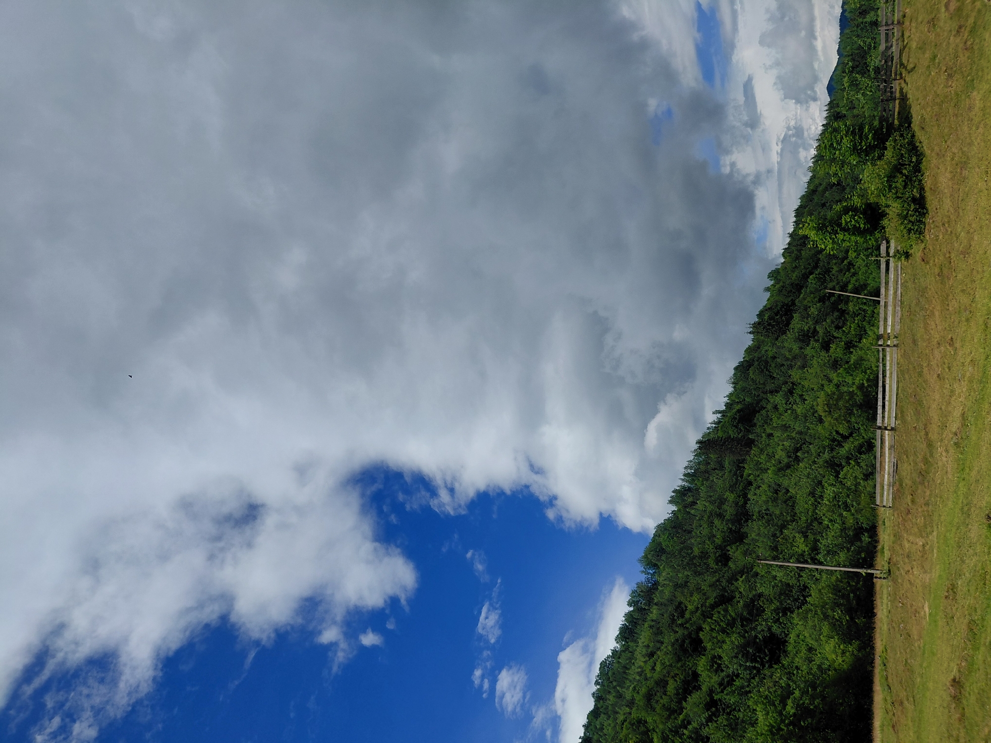 The image depicts a pastoral landscape with a focus on the transition between a clear blue sky and heavy, grey clouds. A dense, green forest covers a sloping hillside on the left side of the frame, suggesting a mountainous or hilly region. A wooden fence runs horizontally across the foreground, separating a grassy field from the base of the hill. A single wooden utility pole stands near the fence. In the distance, the outline of more distant hills can be seen, fading into the haze. The overall impression is one of natural beauty and a rural setting, possibly in or near Chernyk, Ukraine, given the context. There are no people or animals visible in the scene.