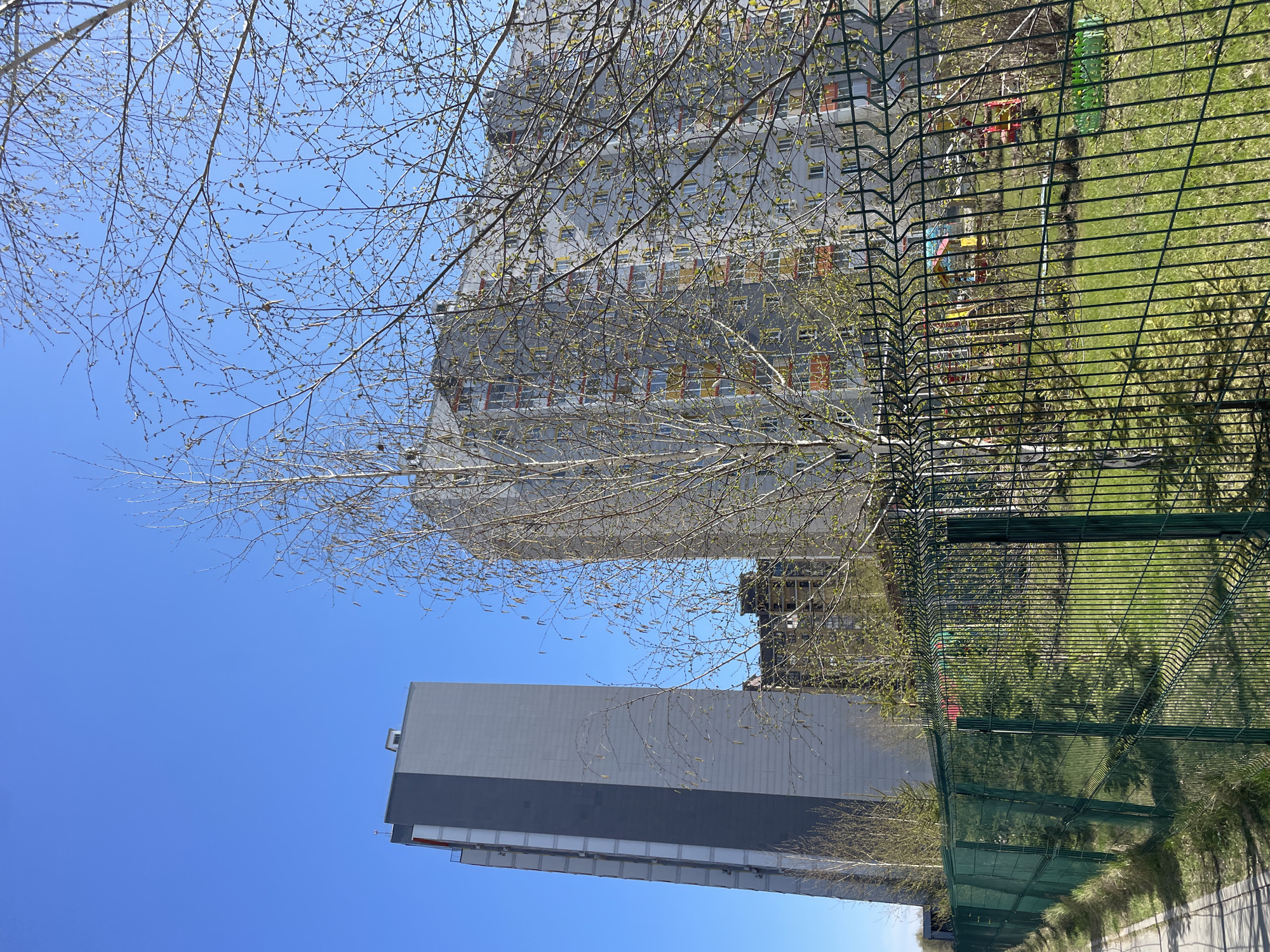 The image depicts a view of Kazan, Russia, featuring modern architecture and natural elements. Two buildings are visible: one is a tall, gray tower block and the other is a larger building with multiple windows. A tree with bare branches is partially obstructing the view of the larger building. A green metal fence runs across the right side of the frame, and green grass grows behind it. The sky is clear and blue. There are no people visible.