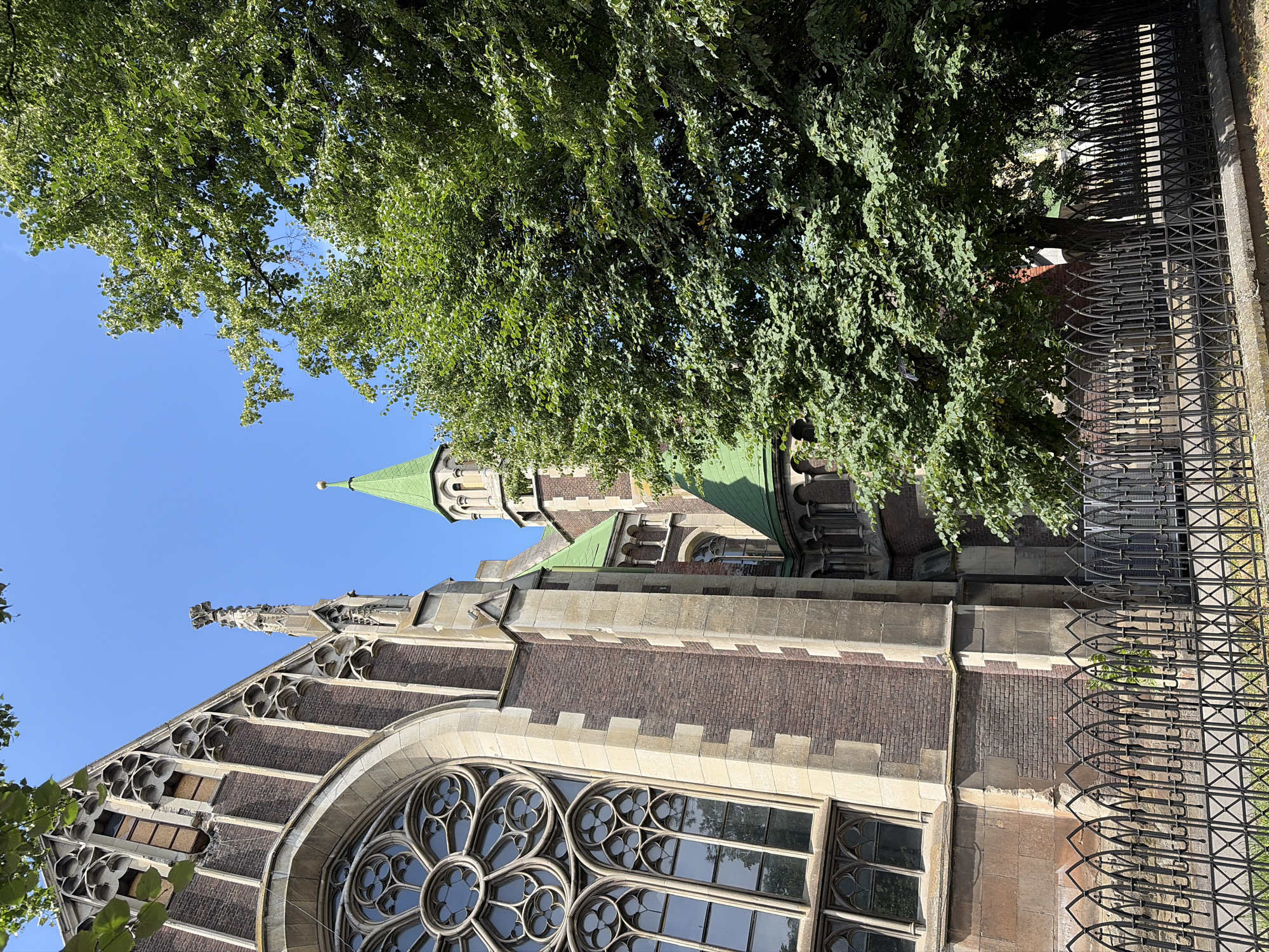 The image shows a side view of the St. Elizabeth's Church in Lviv, Ukraine, under a clear blue sky. The church, an example of Gothic Revival architecture, features a large rose window with intricate tracery and pointed arch windows. Its brick facade is accented with stone detailing. A green spire rises in the background, part of the church's bell tower. In the foreground, a black wrought-iron fence with pointed arches encloses the church grounds. Lush green trees with dense foliage are positioned to the right of the church, partially obscuring the view of the building and tower. The sunlight casts shadows and highlights the architectural elements and the vibrant green of the trees.