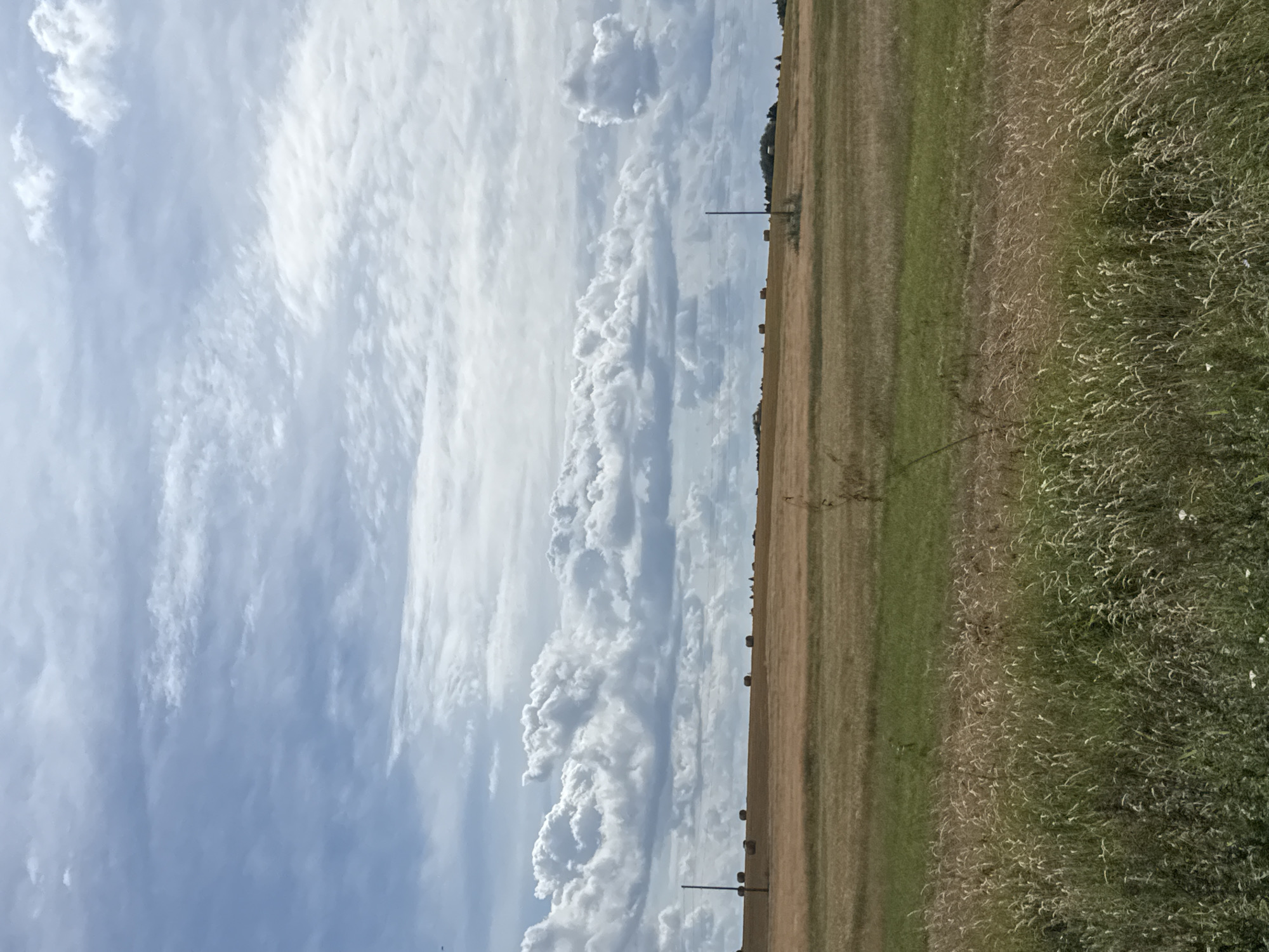 An outdoor, eye-level, medium shot captures a wide, agricultural landscape under a cloudy sky. The foreground is dominated by tall, golden-brown and green grasses, indicative of a rural setting. Beyond this, a wide expanse of dry, golden-brown fields stretches to the horizon. Several round, brown hay bales are scattered across these fields, suggesting recent harvesting activity. Two dark, vertical utility poles stand in the middle ground, their exact purpose unclear in this context. The sky above is a dramatic mix of light and dark clouds, with patches of blue sky visible. The overall scene evokes a sense of open space and rural tranquility. There is no indication of the city of Nylga, Russia in the image.