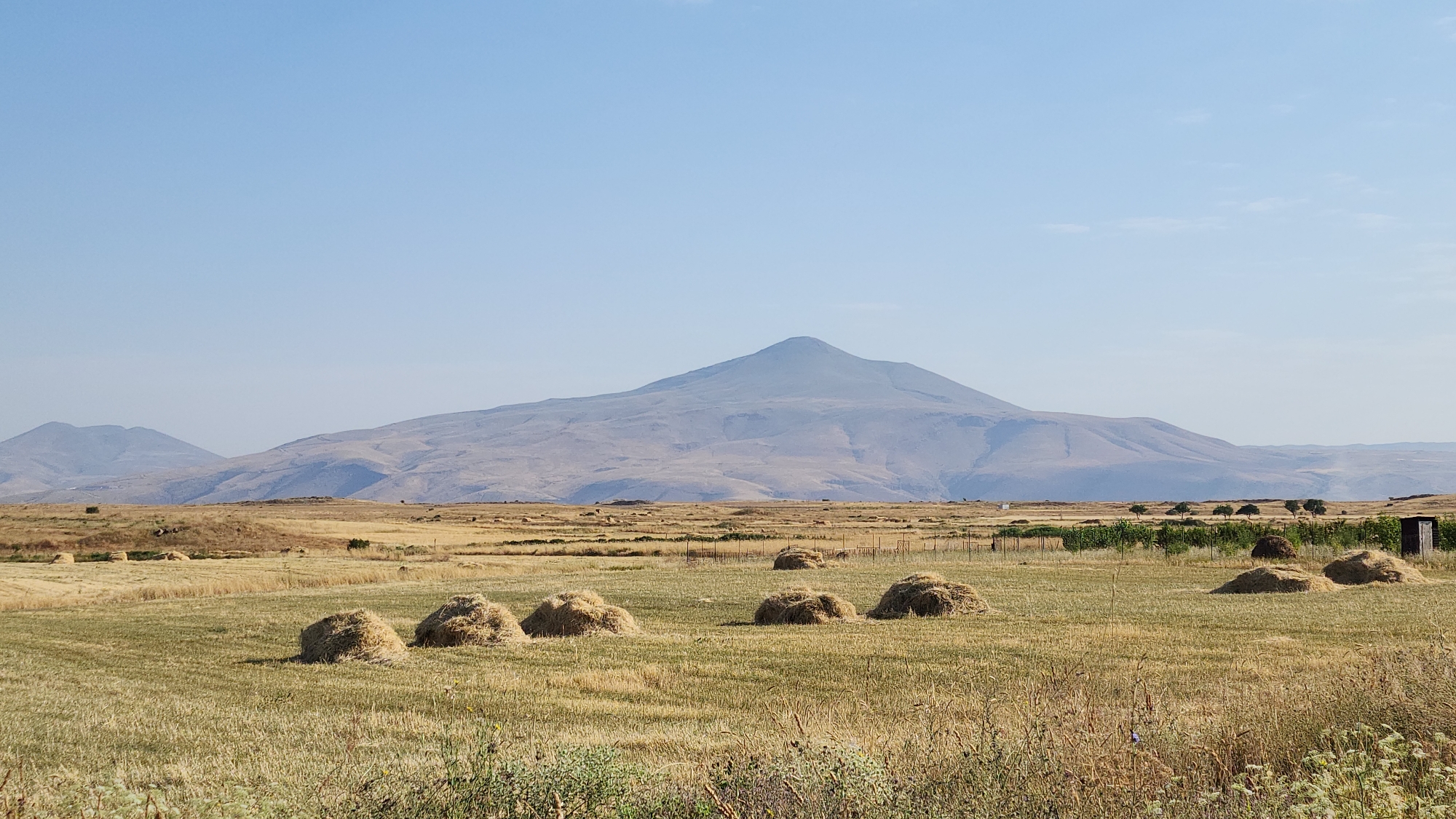 The image depicts a rural landscape in the vicinity of Zovk, Armenia, characterized by rolling hills and a prominent mountain in the background under a clear sky. In the foreground and midground, a field with dry grass is scattered with numerous haystacks, some appearing as freshly baled cylindrical mounds, others as more natural piles of harvested crop. A low fence line runs through the midground, demarcating sections of the field. In the far distance, a cluster of trees is visible, and to the right, a small, dark structure resembling a shed or outhouse stands near the edge of the field. The overall impression is one of agricultural activity during harvest season in a mountainous region.
