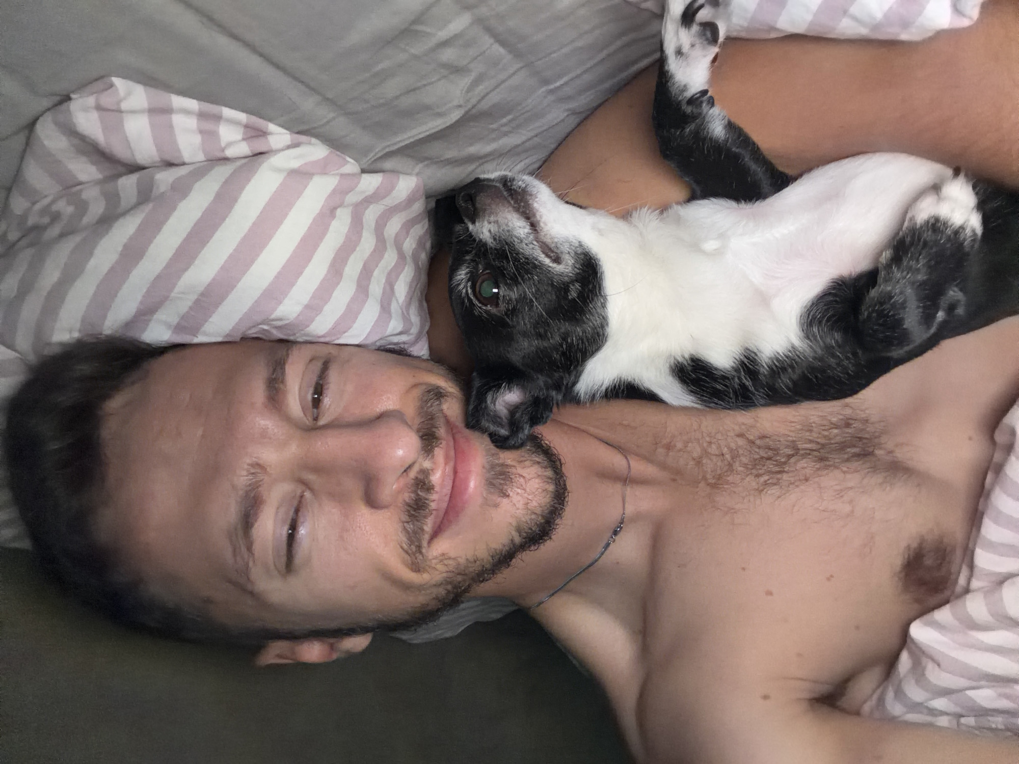 A light-skinned man lies in bed with a black and white dog resting on his chest. The man is lying on his back, looking at the camera with a slight smile. He has short brown hair and a light beard. He is topless, and a thin necklace is visible around his neck. The dog is lying on its back, looking upward with one eye visible. The dog's paws are visible near the man's upper chest. The bedding includes a pillow with pink and white stripes and a gray or beige blanket. The location appears to be indoors, but there is no information to suggest the location is Tel-Aviv, Israel.