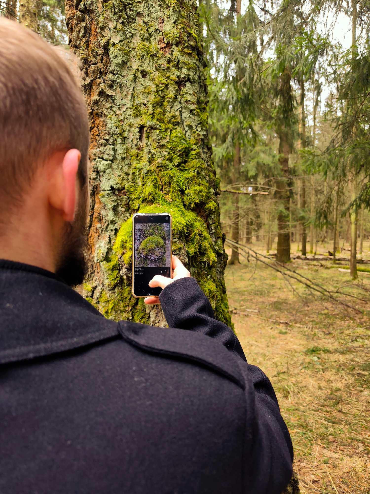 A person with short brown hair and a beard is standing in a forest, taking a photograph of a moss-covered tree trunk with a smartphone. The person is wearing a black coat. The surrounding environment consists of trees, fallen branches, and brown ground cover, typical of a forest floor. The location and city are not discernible from the provided image.