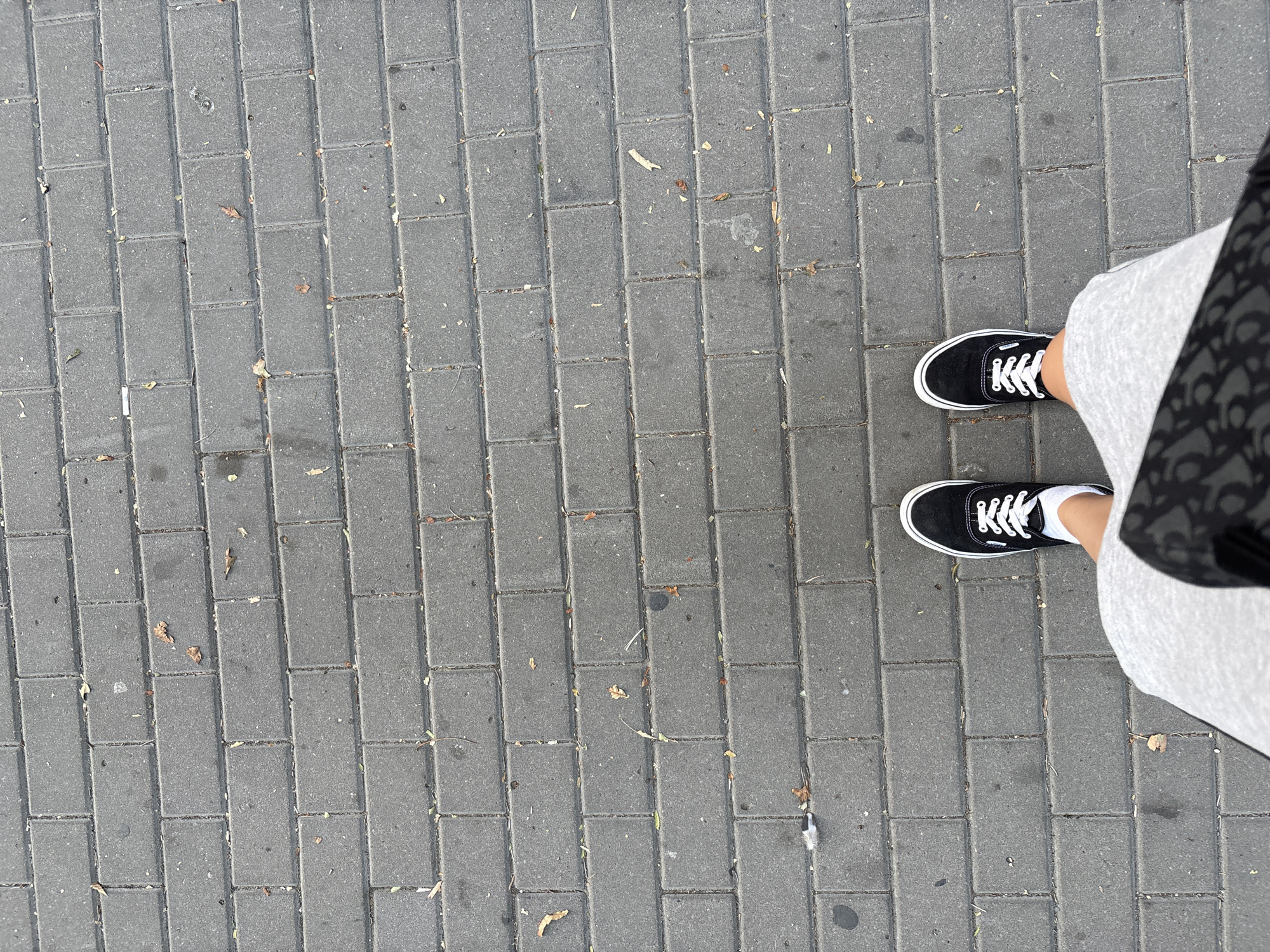 The image shows a person's legs and feet standing on a paved sidewalk made of grey rectangular bricks. The person is wearing black Vans sneakers with white laces and white socks. A grey skirt or dress is visible, along with a portion of a black bag with a patterned strap. Scattered on the bricks are a few dry leaves and some debris. The perspective is from above, looking down at the ground. The location is not specified in the image itself, and therefore cannot be determined as Rostov-on-Don, Russia.