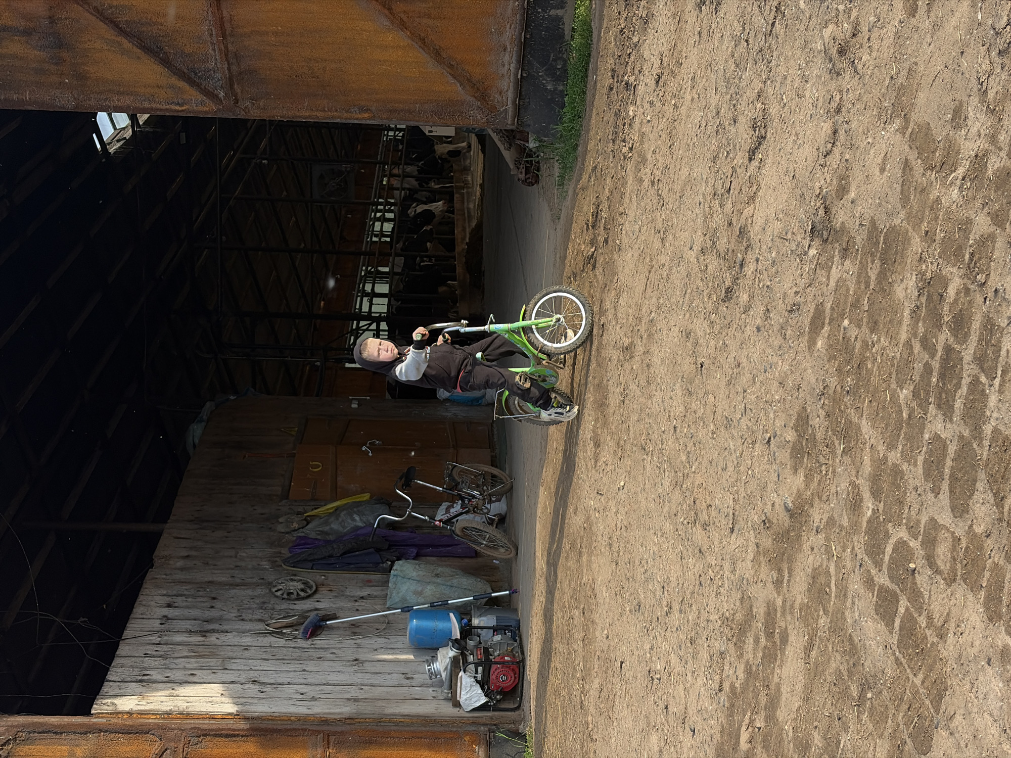 A young boy rides a small green bicycle on a dirt path outside a large barn or agricultural building in Чумна, Russia. The boy, wearing a grey hooded sweatshirt and dark trousers, is positioned towards the left of the frame, looking towards the camera. His feet are near the ground, suggesting he might be learning to ride or balancing on the bike.
Inside the dimly lit barn, visible through the wide-open doorway, are several black and white cows, likely Holstein, in stalls. The interior of the barn features wooden beams and dark structural elements.
To the left of the doorway, leaning against a weathered wooden wall, are various farm implements and personal items. These include another small bicycle, a blue bucket, a long-handled cleaning tool, and a red portable generator or pump with a white cloth on it, indicating a functional farm environment. The ground outside is composed of dry dirt with noticeable tire tracks from vehicles or machinery. The scene is brightly lit by natural daylight, suggesting a sunny day. No visible text is present in the image.