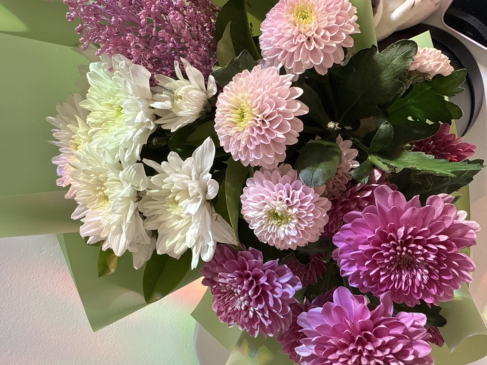 A bouquet of flowers is displayed against a light-colored, textured wall. The bouquet is composed of several types of flowers, predominantly chrysanthemums in shades of white, light pink, and deep pink, along with some small purple filler flowers. The white chrysanthemums are clustered at the top, with delicate, layered petals. Beneath them, the pink chrysanthemums are arranged in a round, full bloom. The deep pink chrysanthemums are larger and more angular in shape, with tightly packed petals. The flowers are wrapped in light green paper, which is partially visible. The background wall has subtle pastel-colored light reflections, suggesting a light source with a prismatic effect. The overall impression is of a vibrant and artfully arranged floral display. There is no indication of a city, location, or any people present in the image.