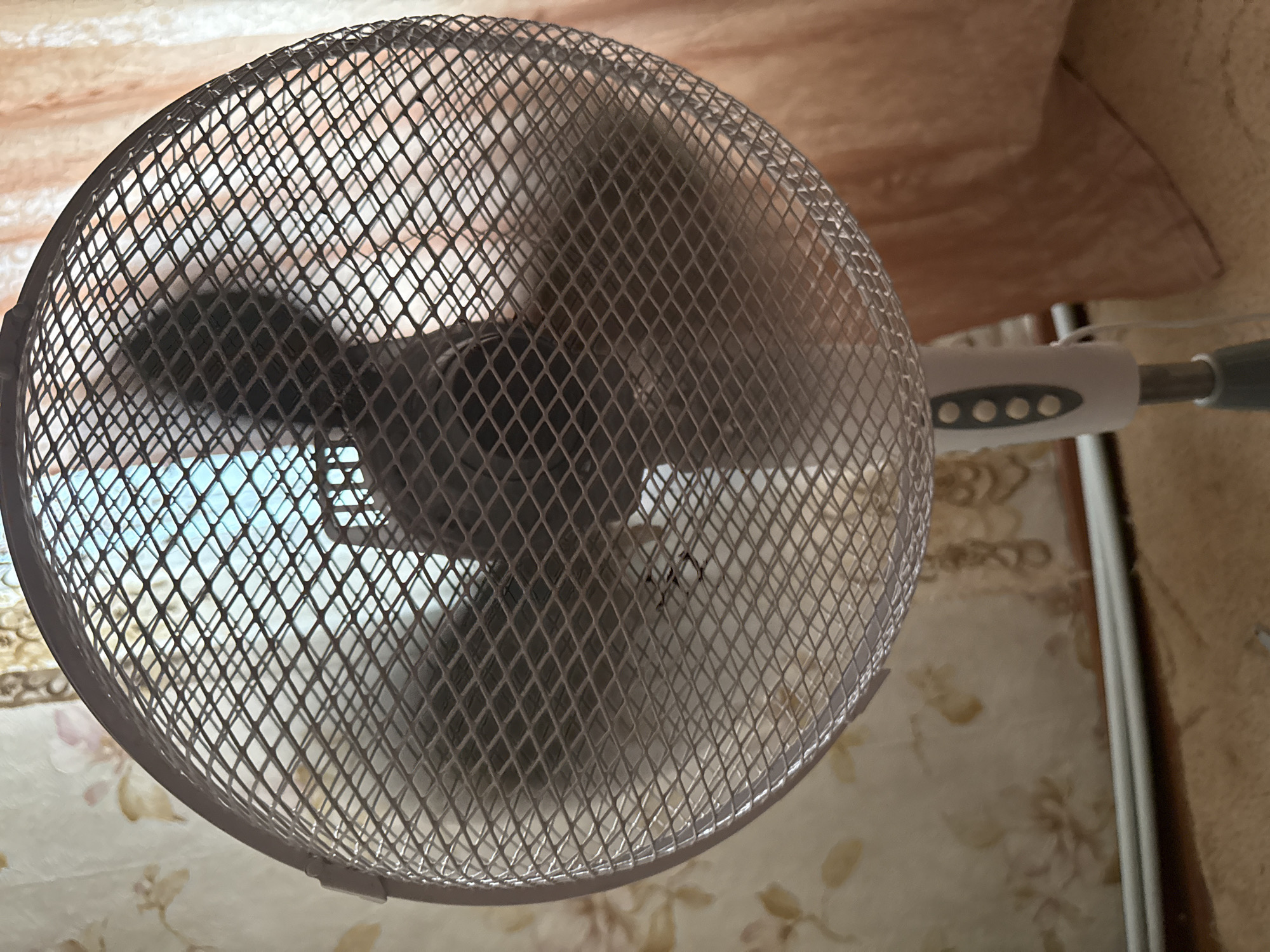 A close-up shot captures the front grille of an oscillating fan. The fan's blades are blurred, indicating movement, and are visible through the diamond-shaped mesh of the grille. The fan is mounted on a white and grey stand, which has a series of four circular buttons on its front.
The background consists of a patterned wallpaper on the left side, with a cream base and a subtle floral design in muted tones of beige and pink. To the right, a light pink curtain is draped, showing soft folds and a slightly sheer texture. A thin white cord extends from the fan stand. The flooring beneath the fan is a carpet in a muted brown or beige hue.
The image does not provide any specific details that would allow for pinpointing its location within the city of Cahul, Moldova. There are no identifying landmarks, street signs, or unique architectural features visible.