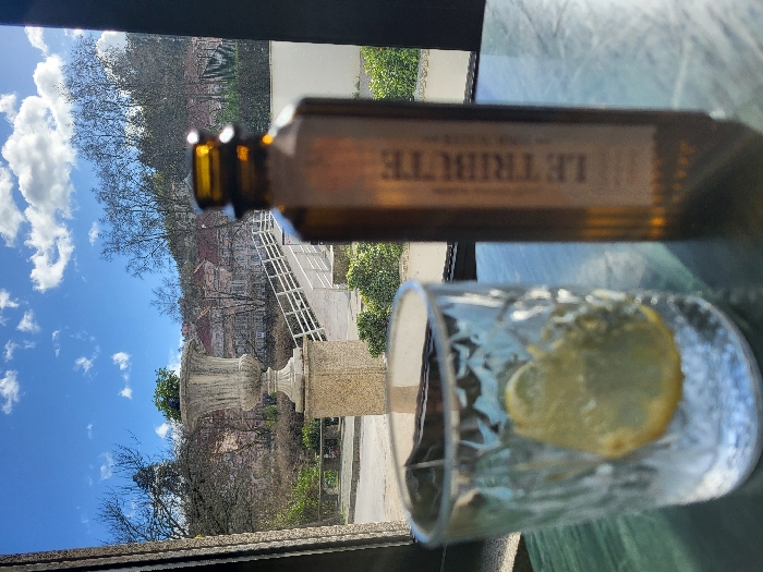 The image depicts a static outdoor scene in São Pedro do Sul, Portugal, viewed from an interior perspective, likely through a window. In the immediate foreground, on a reflective green surface, a textured glass containing ice and a slice of lemon is positioned to the left, slightly out of focus. To its right stands an amber-colored hexagonal bottle, partially focused, with "LE TRIBUTE" visible in vertical text on its label. The background reveals a clear blue sky with scattered white cumulus clouds. Outdoor elements include a large, ornate stone urn containing green foliage, set atop a stone pedestal. Beyond the urn, a white bridge or railing structure is visible. In the mid-ground, numerous bare deciduous trees frame multiple buildings characterized by their reddish-brown tiled roofs. A wooded hillside forms the distant background. No individuals are present in the scene.