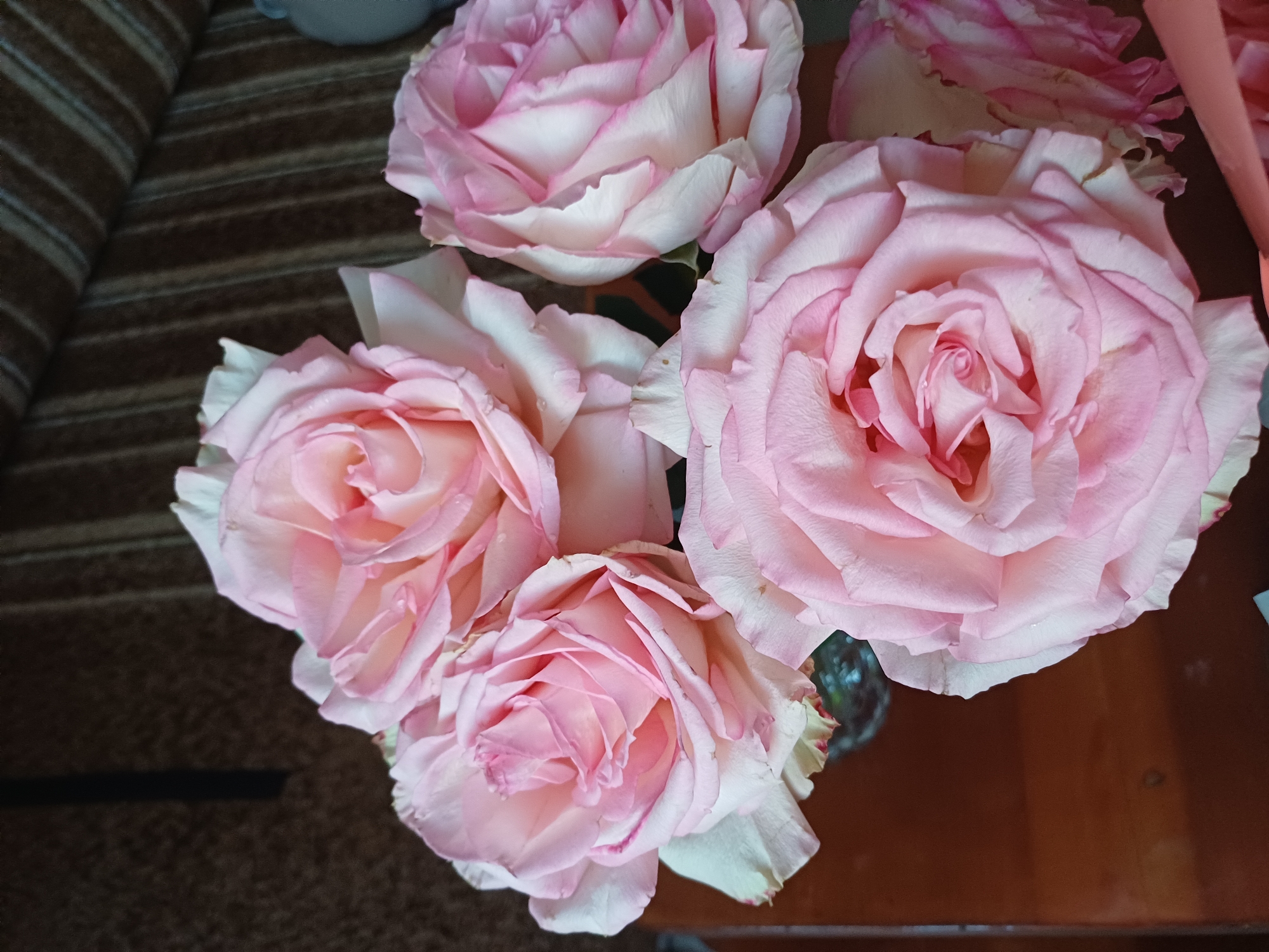 A close-up, high-angle shot showcases a bouquet of light pink roses. The roses have multiple layers of petals, with some showing tinges of white and darker pink edges. The bouquet is arranged in what appears to be a glass vase, partially visible at the bottom left. The roses are set against a background that includes a dark, textured surface and a striped brown fabric, possibly a sofa or chair. The lighting is soft, highlighting the delicate texture of the rose petals.