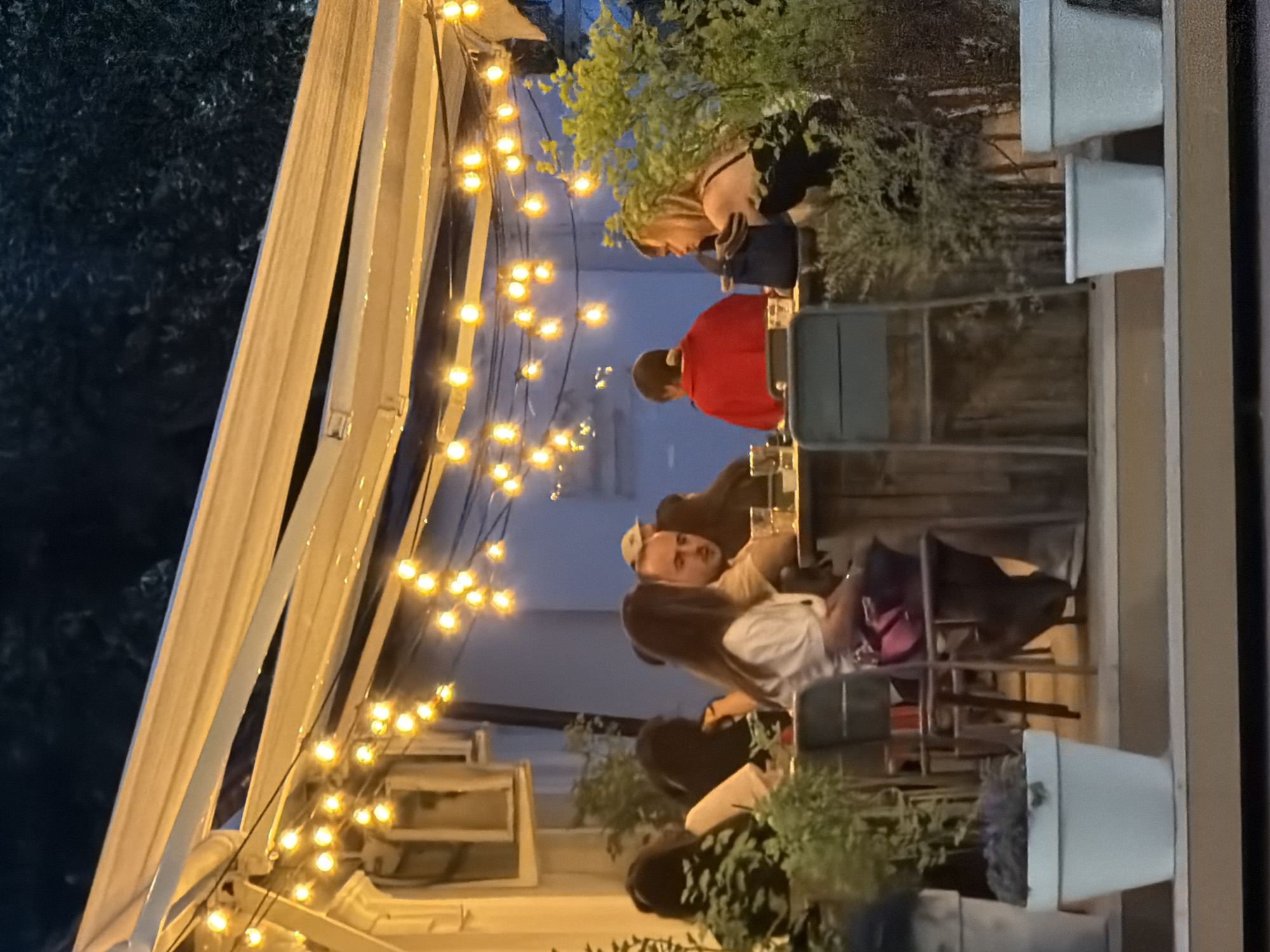The image depicts an outdoor evening social area in Moscow, Russia, illuminated by warm-toned string lights suspended from a light-colored fabric awning. In the upper background, dark foliage is visible against the night sky, with a light-colored building present on the left. The foreground features an elevated platform supporting several white planters containing green and purple plants.
Multiple individuals are seated at wooden tables with dark-framed chairs. A woman with long dark hair, wearing a white short-sleeved top and dark lower garments, is seated facing right. Adjacent to her, a man with short dark hair and a beard, in a light brown t-shirt, is also seated facing right; a drink glass is on the table before him. To their right, a person in a red long-sleeved top is seen from the back, facing left. On the far right, a woman with light-colored hair, dressed in a dark sleeveless top, is seated facing left. Partial views of other individuals are obscured by foreground foliage. The subjects are engaged in seated social interaction.