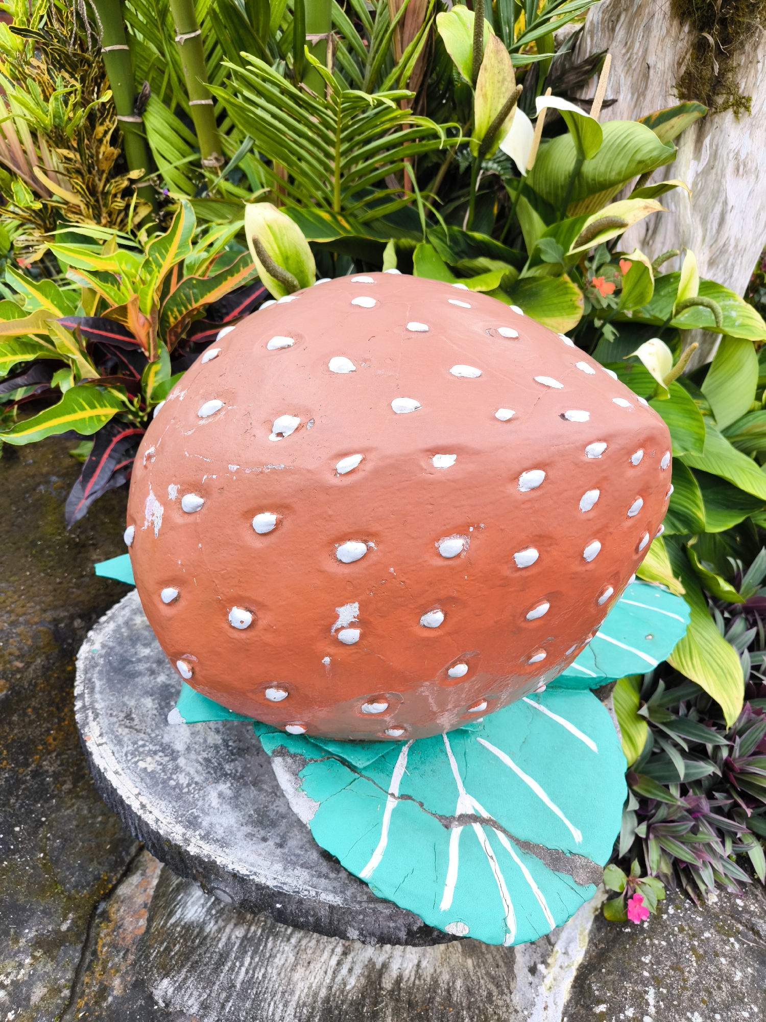 A large, decorative strawberry sculpture sits atop a weathered, circular base resembling a tree stump. The strawberry is reddish-brown with white dots, suggesting seeds. The base includes stylized, painted green leaves with white veins. The setting is outdoors, surrounded by lush tropical foliage that includes various plants with green and yellow leaves, as well as white flowers. The sculpture appears to be in Candikuning, Indonesia, as indicated by the local flora and style of garden art.