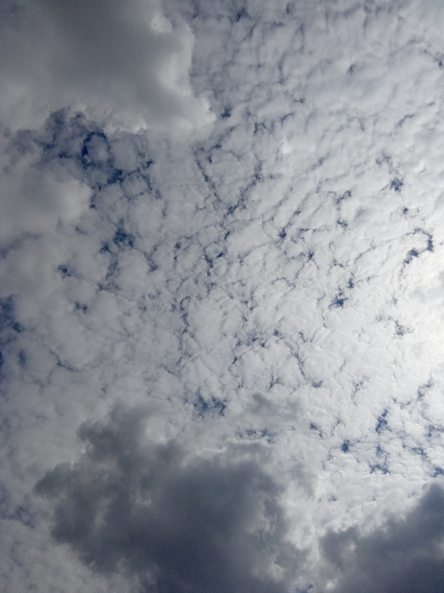 This is a low-angle, full-frame shot of a cloudy sky above Рощин ауылдық округі, Kazakhstan. The clouds are varied in density and shade, with a mix of dark, heavy clouds in the foreground and lighter, more scattered clouds in the background. The sky appears to be in a transitional state, possibly before or after a weather event. The image is devoid of any human presence or man-made structures, focusing solely on the atmospheric conditions.