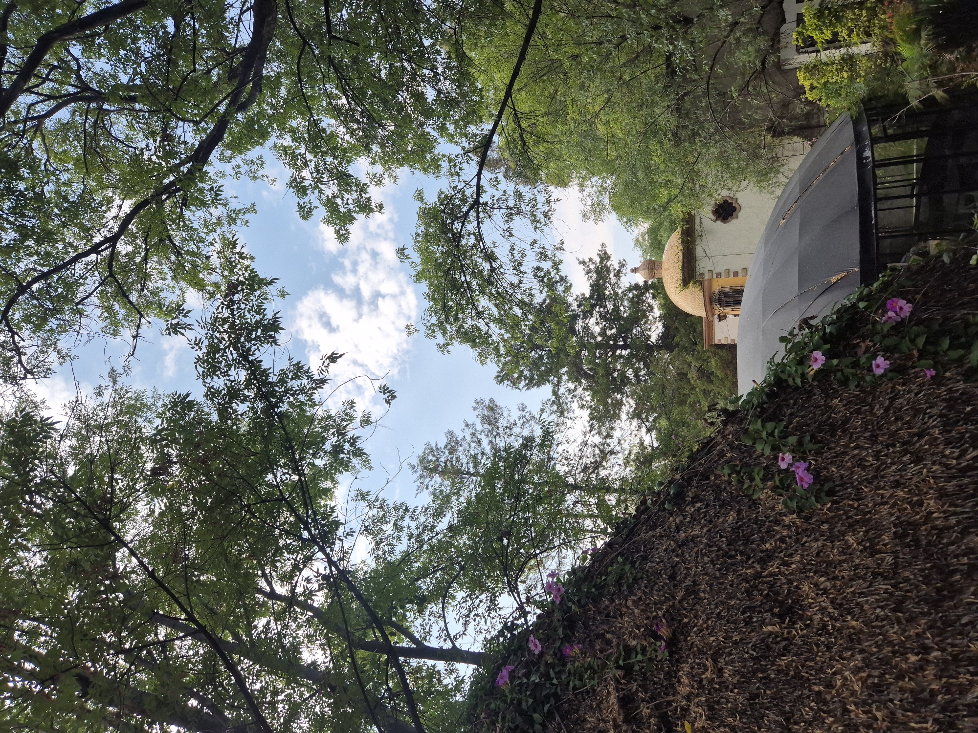 The image shows a view looking up through tree branches towards a blue sky with scattered clouds. In the background, partially obscured by trees, is a building with a gold dome. To the right, there is a thatched wall covered in vines with pink flowers. The location is likely in the city of Puebla, Mexico, as indicated in the prompt.