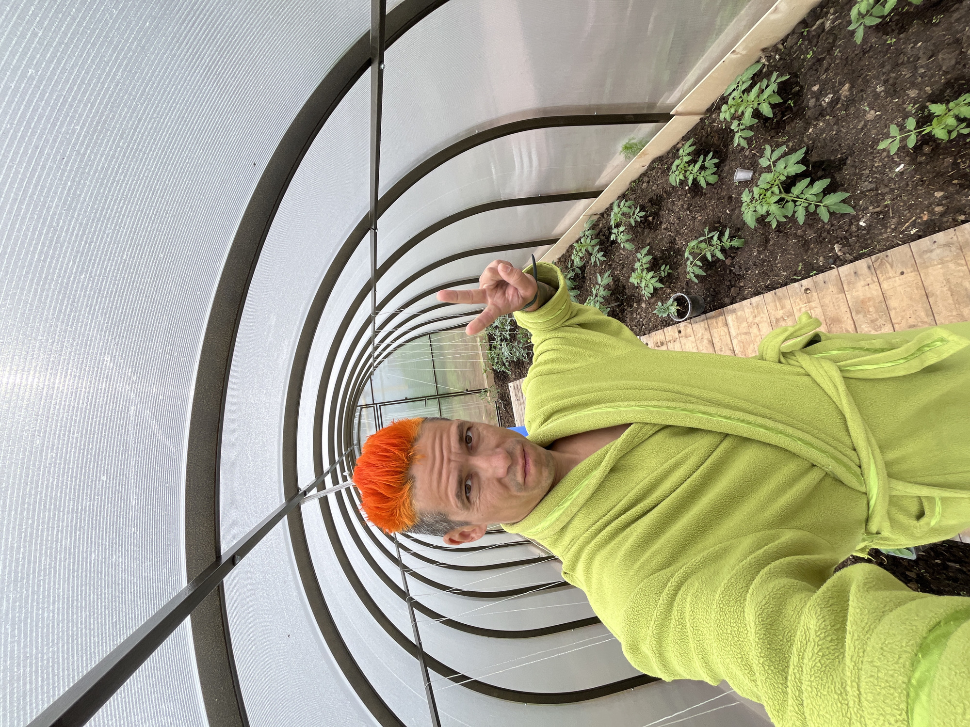 A man with bright orange hair and wearing a light green bathrobe stands in what appears to be a greenhouse or tunnel-like structure, possibly located in Chaikovsky, Russia. The structure has a curved roof with a series of semi-circular frames and translucent panels. To his right, there is a raised garden bed with small plants growing in the soil. The man is holding his hand up, forming a "peace" or "victory" sign. The scene suggests a possible interest in gardening or horticulture.