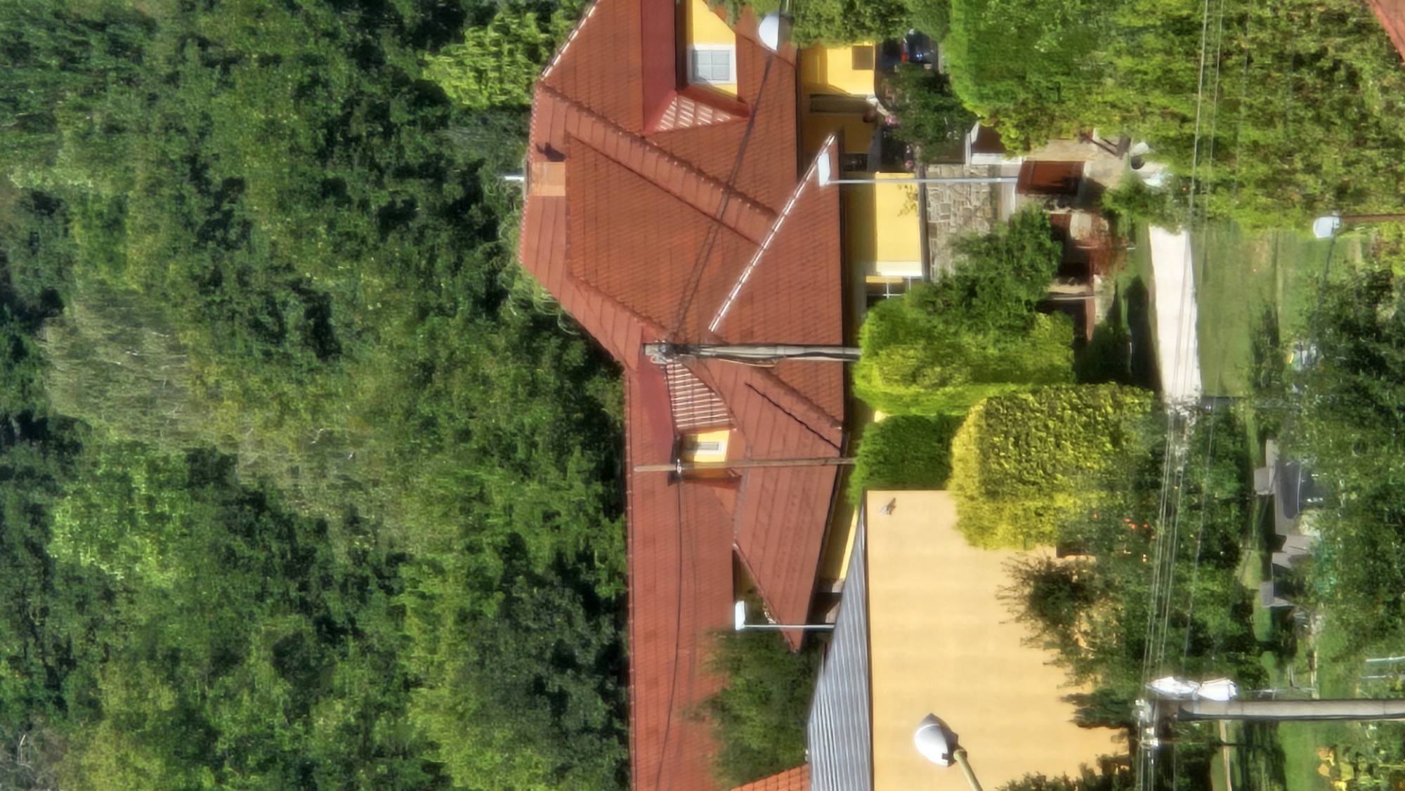 The image depicts a residential area with several houses, surrounded by lush greenery. The houses feature reddish-brown tiled roofs and yellow exteriors. Various types of trees and bushes are visible throughout the scene, contributing to a natural and somewhat overgrown environment. There are streetlights and utility poles present, indicating a developed urban or suburban setting. The overall impression is a tranquil, sunny day in a residential neighborhood with abundant vegetation.