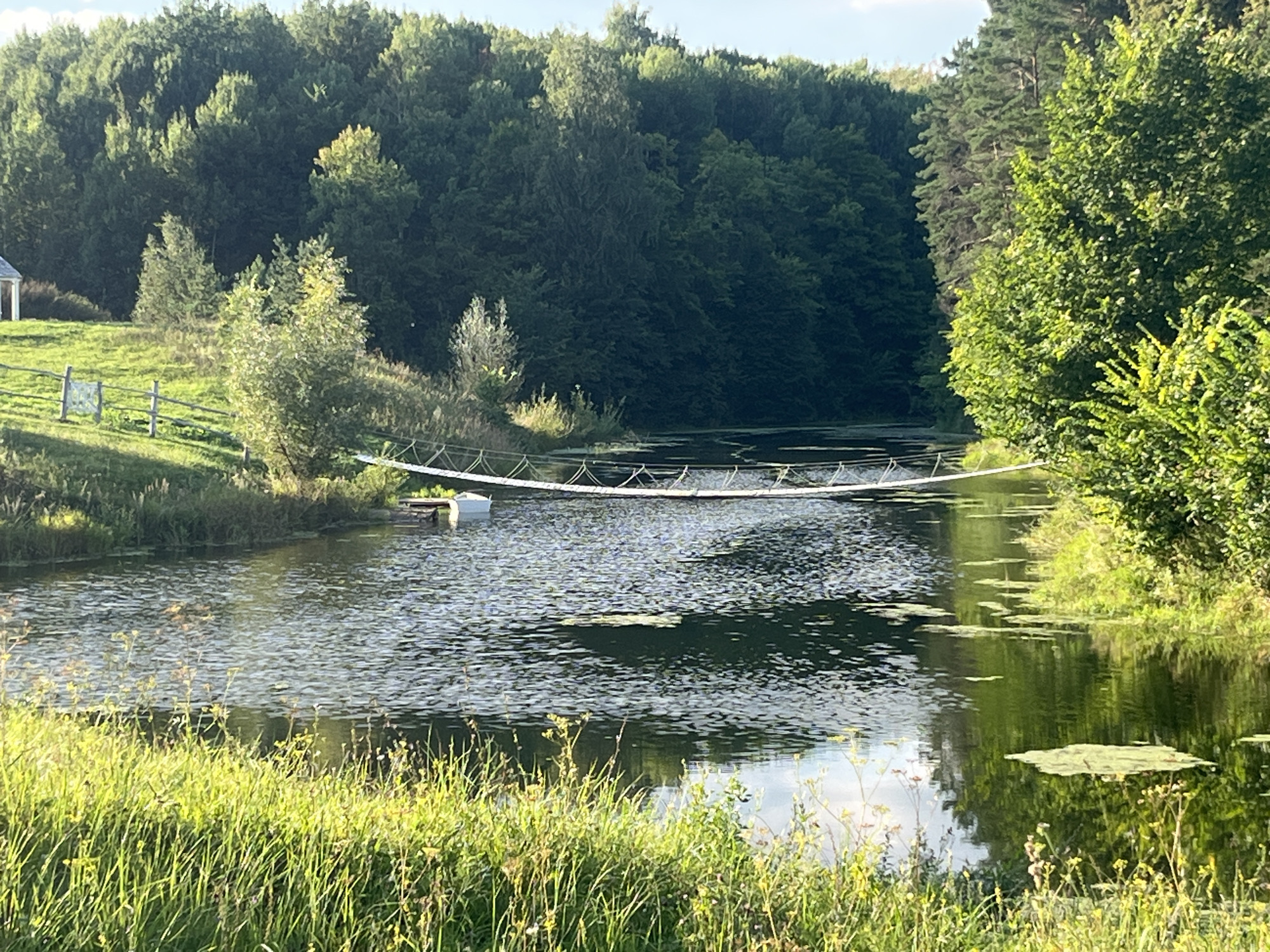 A wide, calm river flows through a lush green forest. A suspension bridge, made of white rope and wooden planks, spans the river. On the left bank, a wooden fence encloses a grassy area with a small white structure. The water is partially covered with lily pads, and the reflections of the surrounding trees are visible on the surface. The foreground is filled with tall green grass and wildflowers. The sky is blue with some scattered clouds. The scene appears to be located in a natural, rural setting.