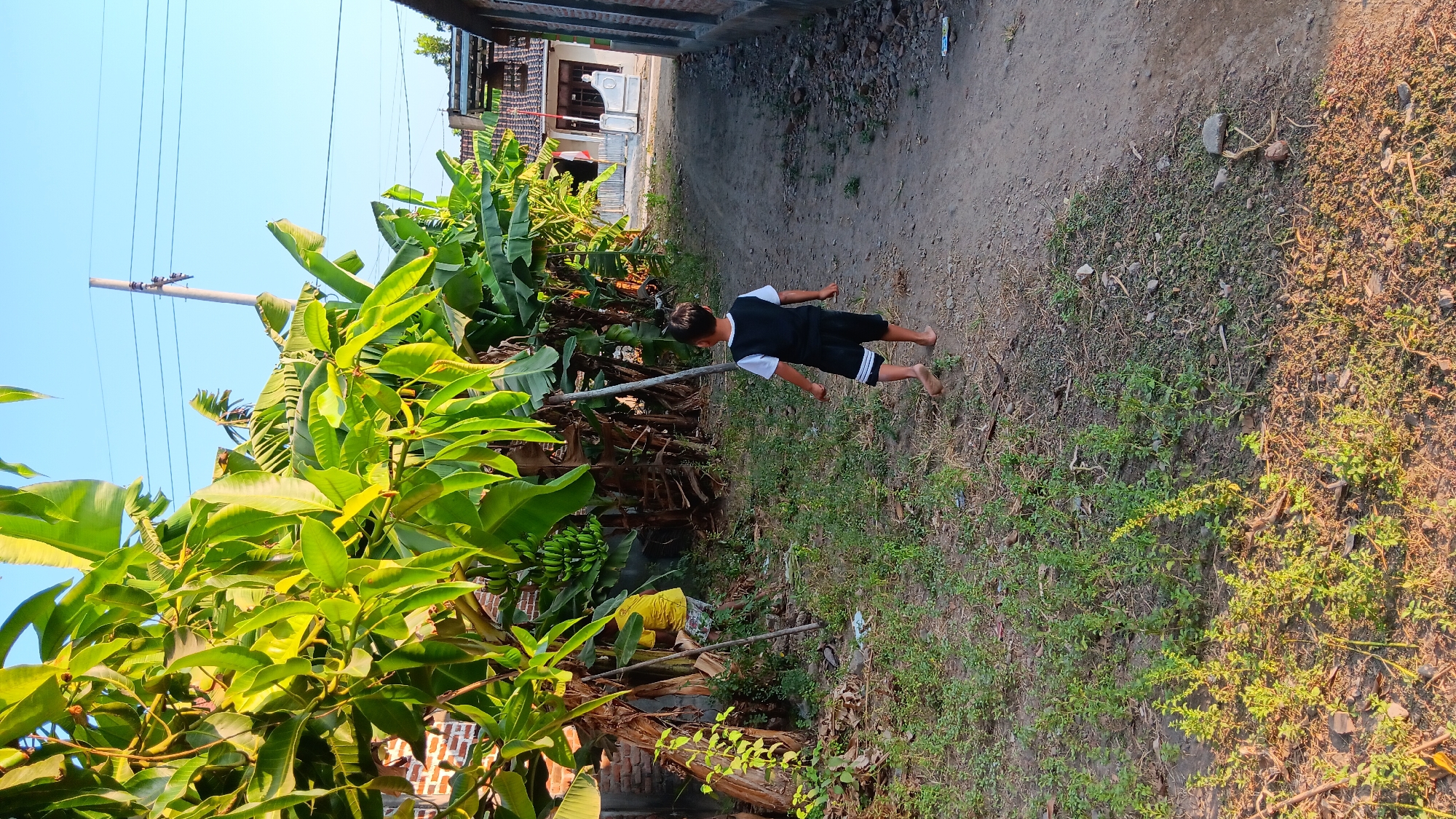 In Sonobekel, Indonesia, a young child with dark hair, wearing a black vest over a white t-shirt and black shorts with white stripes, stands barefoot on a dirt path. The child faces away from the camera, looking towards a cluster of banana trees laden with unripe green bananas. To the left, behind the banana trees, a person in a yellow shirt is partially visible, appearing to work amongst the foliage. The path runs between the banana grove on the left and a row of brick buildings on the right. Overhead, power lines stretch across a clear blue sky. The ground is covered in dry earth, scattered stones, and patches of green weeds. The scene captures a moment of everyday life in a rural Indonesian setting.