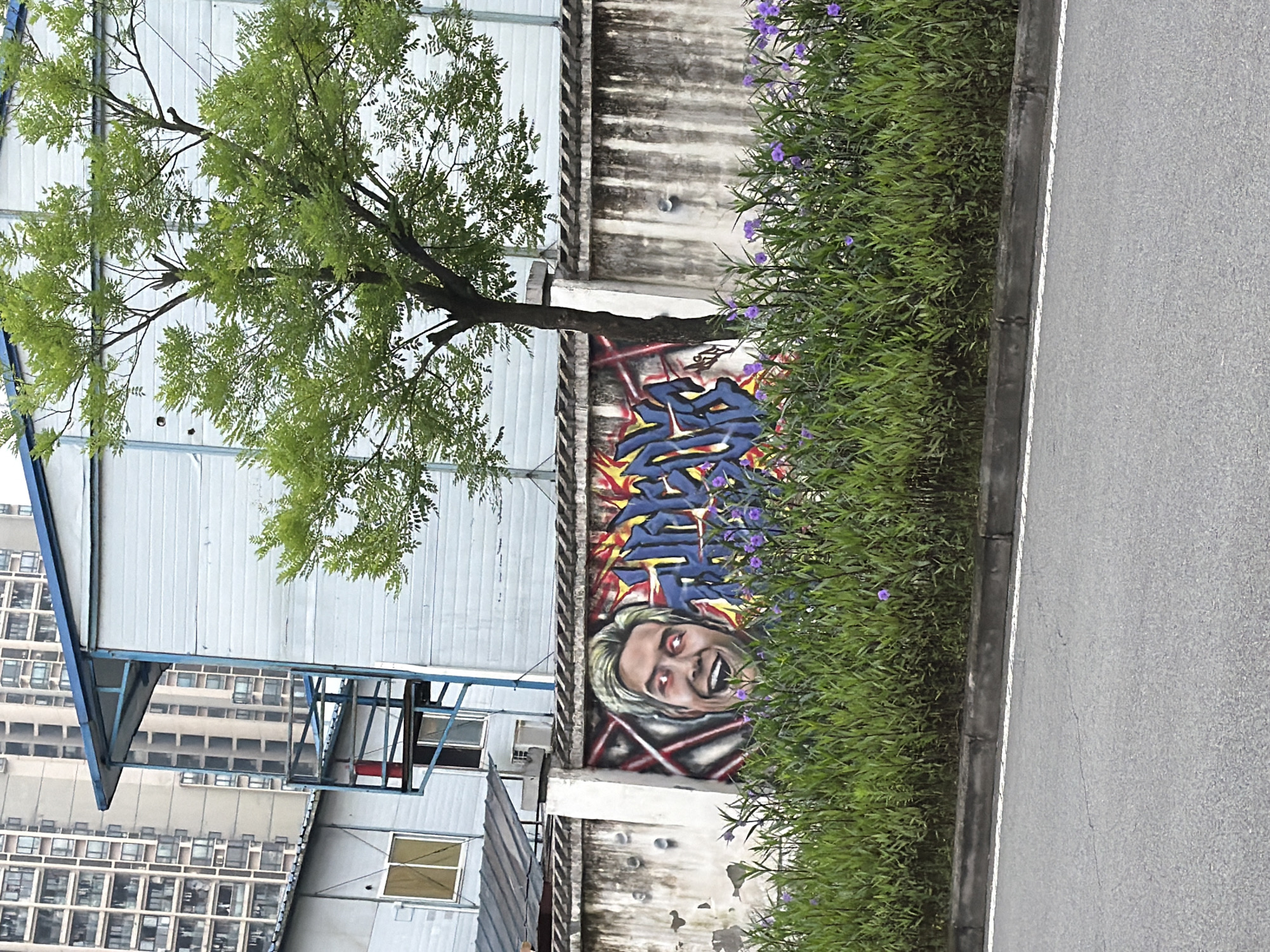 The image, rotated 90 degrees clockwise, shows a section of a street in what appears to be the Chongqing High-tech Zone, China, based on the architectural style of the buildings in the background. A gray concrete road runs along the right edge of the frame. Adjacent to the road is a strip of dense green foliage with small purple flowers. Behind the foliage is a weathered concrete wall covered in graffiti. The graffiti includes a face with pale skin and red eyes, along with stylized lettering in blue and red.
To the left of the wall are several corrugated metal buildings, one with a blue metal awning. In the background, a multi-story residential building with rows of windows is visible. A tree with green leaves extends over the buildings and wall. The sky is overcast, creating diffuse lighting conditions.