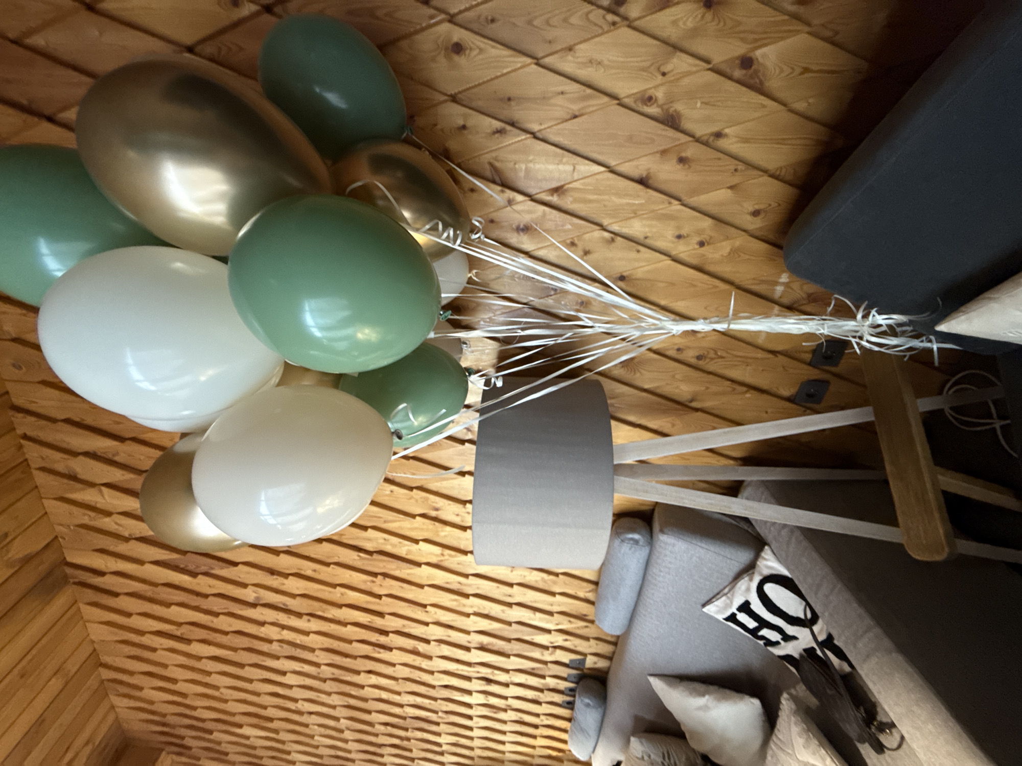 A bouquet of balloons, including gold, sage green, and white, is arranged together, with their white strings tied in a bundle. The balloons are suspended against a wooden ceiling with a diamond pattern. In the background, a dark gray sofa is partially visible, along with a light gray sofa adorned with a pillow that has the word "HOME" written in black, block letters. The overall scene suggests a celebration or a party. The lighting appears to be indoor, with natural light possibly coming from a window not visible in the frame. The wooden ceiling and the presence of sofas indicate an indoor setting, likely a home or a rented space. No people are visible in the image.