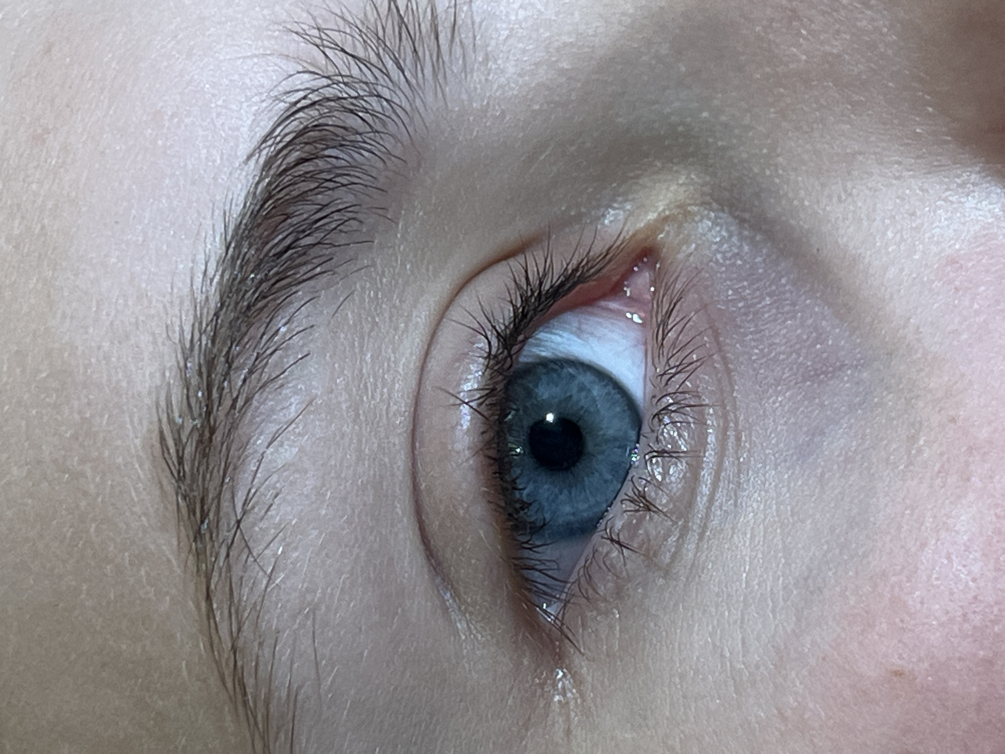 This is a close-up, forensic-style image of a human eye. The eye is blue and appears to be open, with visible eyelashes and a portion of the eyebrow. The skin surrounding the eye is pale and shows some texture. There is no discernible location in Saint Petersburg, Russia, or any indication of a city environment. The image focuses solely on the biological details of the eye and surrounding skin.