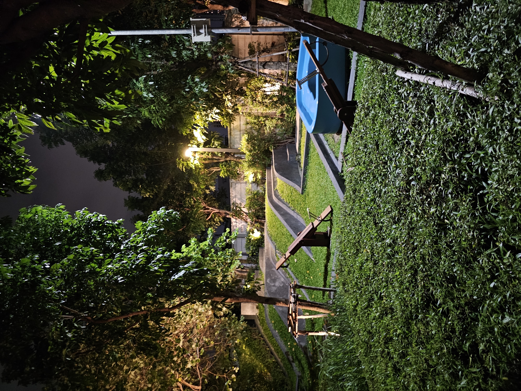 This image captures a park at night, likely in Bangkok, Thailand, illuminated by artificial lighting. The foreground is dominated by dense, green bushes. In the midground, a bright blue children's play structure, possibly a small pool or water play area, is visible. Adjacent to it is a wooden seesaw. Further back, a paved pathway curves around a grassy area with some landscaping and low walls. Trees with lush foliage are scattered throughout the park, their leaves reflecting the warm glow of nearby lights. A lamppost is also present, casting light onto the scene. The overall atmosphere is tranquil and serene, suggesting a public recreational space.