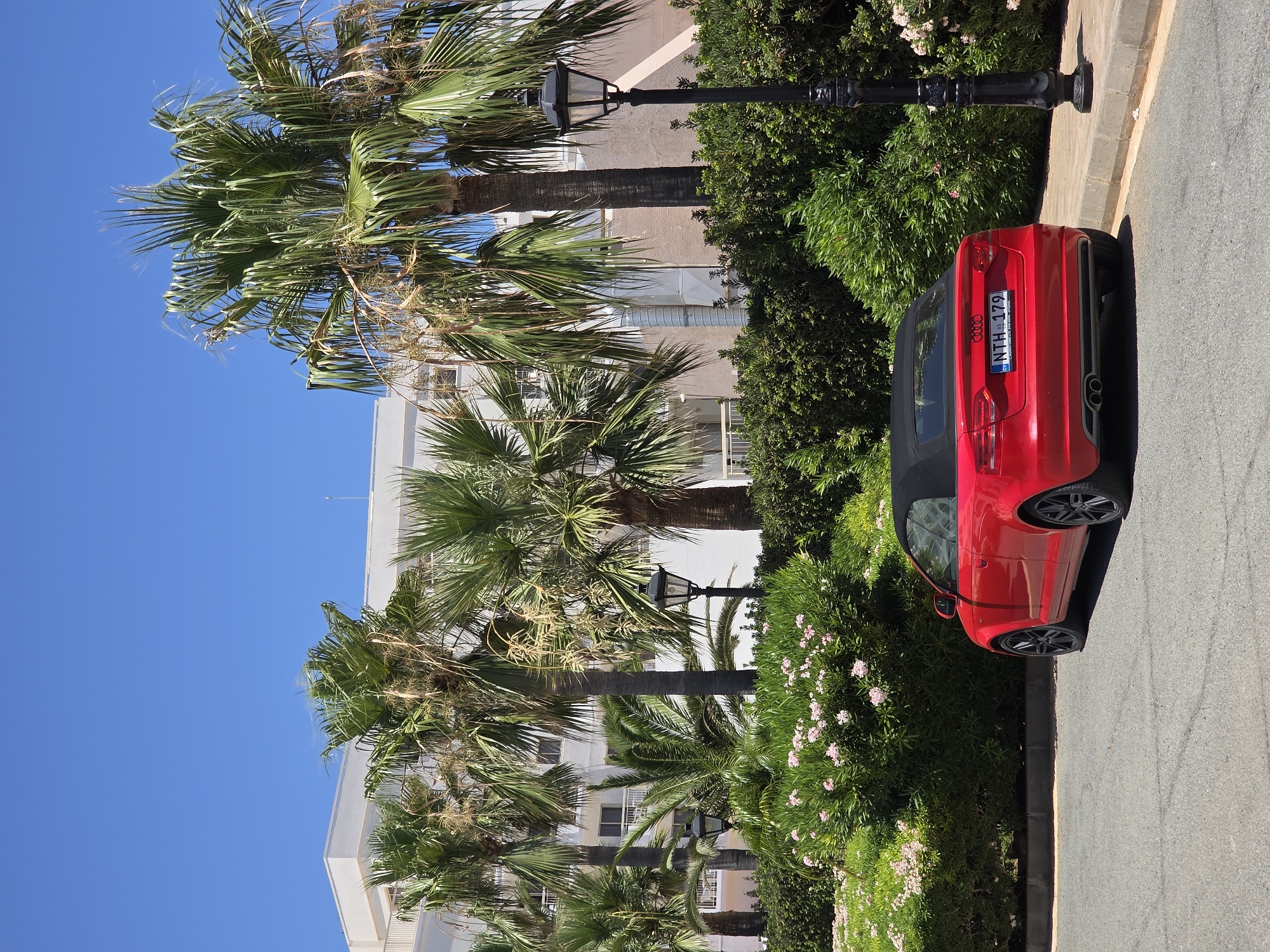 The image shows a red convertible car parked on a paved surface next to a sidewalk. The car has a black convertible top. Behind the car, there is a sidewalk, a black lamppost, lush green bushes with some pink flowers, and several tall palm trees. In the background, there is a multi-story building with a white facade. The sky is clear and blue. The license plate of the car indicates it is registered in Cyprus. The scene is consistent with a location in Protaras, Cyprus, known for its coastal resorts, palm trees, and sunny weather.