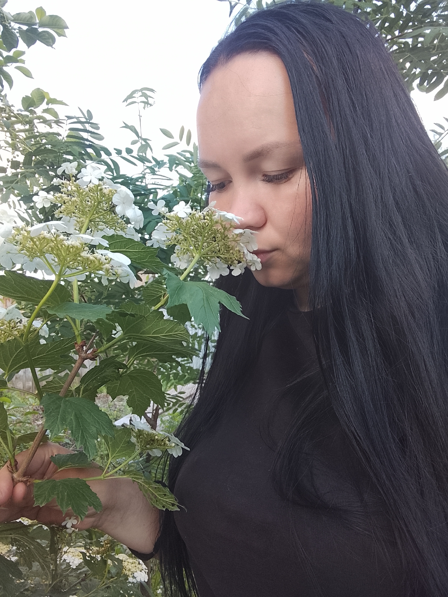 A woman with long, dark hair is smelling white flowers on a plant. She is wearing a dark-colored shirt. The leaves of the plant are green. In the background, there are other plants and trees. The photograph may be from Kuyeda, Russia.