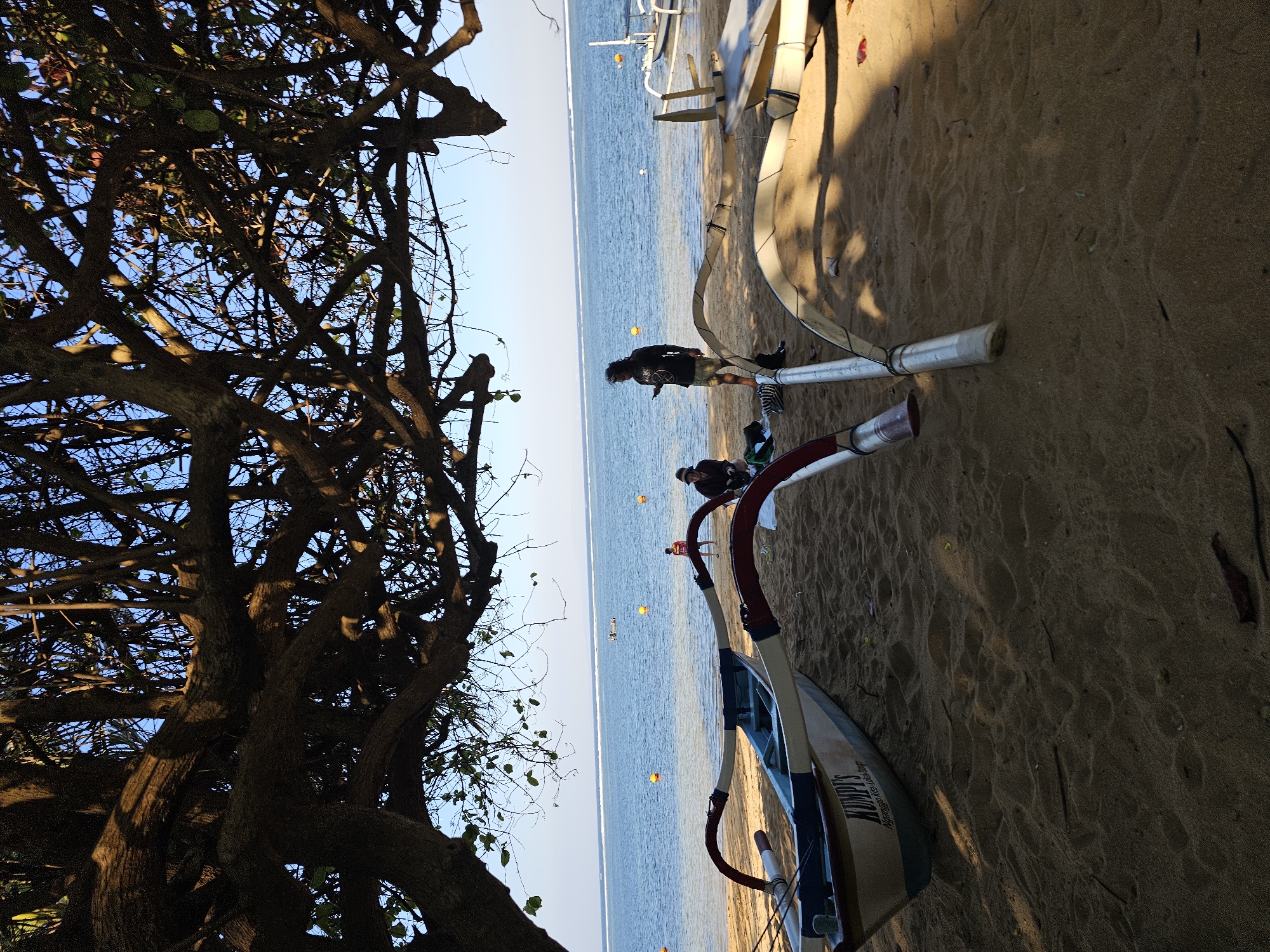 The image depicts a beach scene in Denpasar, Indonesia, likely in the morning or late afternoon given the long shadows cast by a large tree with prominent branches that dominate the upper portion of the frame. The tree's dense foliage partially obscures the clear blue sky and the distant horizon.
In the foreground, two traditional outrigger canoes are positioned on the sandy beach. One canoe, in the left half of the image, is light-colored with blue and white trim, and the word "MUMPY'S" is visible on its side. The other canoe, partially visible on the right, also features outriggers.
Several individuals are present. In the middle ground, a person with curly dark hair is standing and looking at a mobile phone, wearing a dark t-shirt and light-colored shorts. To their left, another person is seated on the sand, wearing a hat and dark clothing. Further in the background, on the water's edge, a person in a red shirt is visible.
The sea is calm with gentle waves, and several yellow buoys are scattered across the water, suggesting a designated swimming or boating area. The beach itself is sandy with some scattered debris, including leaves and small branches. The overall atmosphere is relaxed and suggests a quiet moment on the coast.