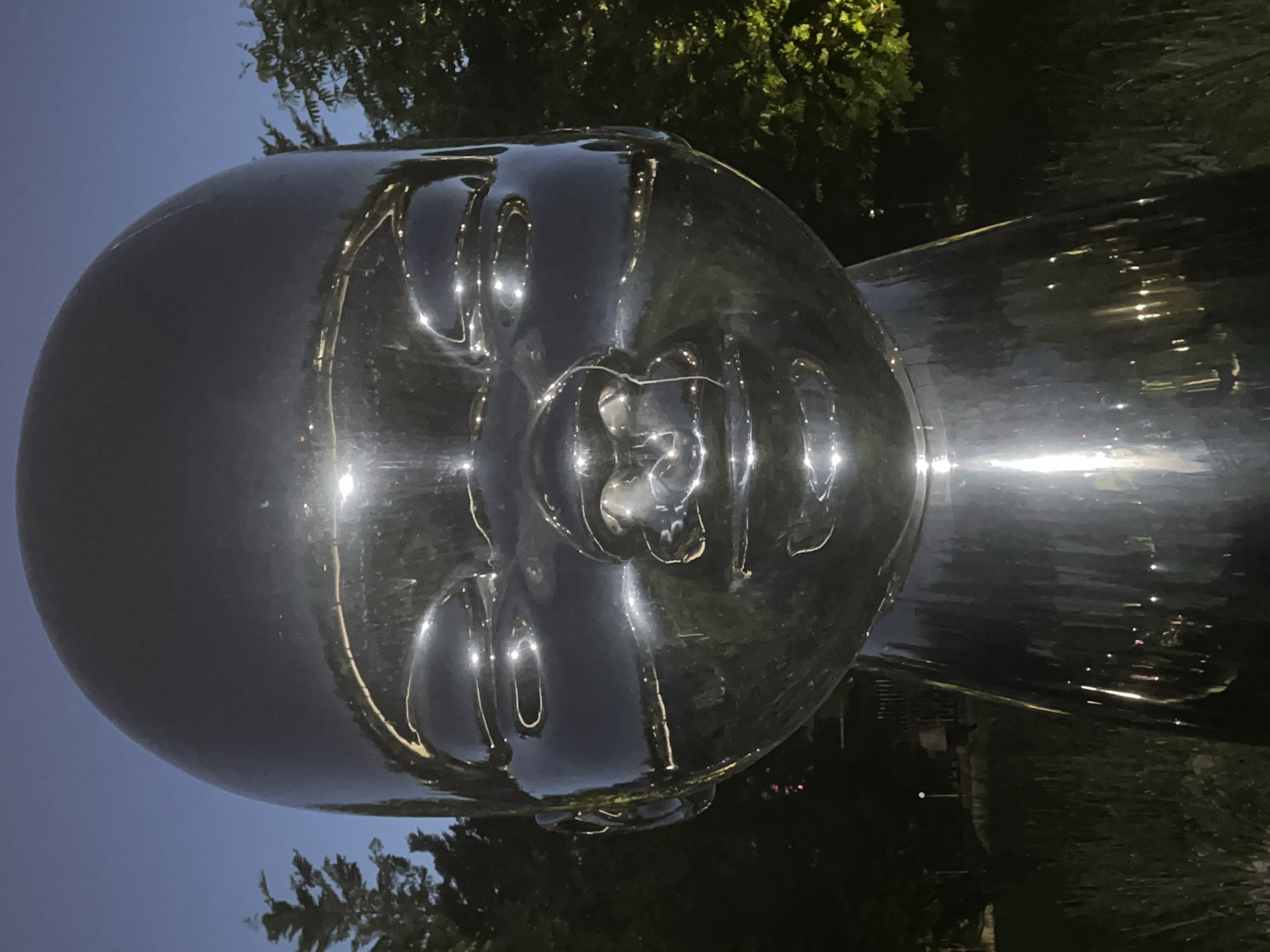 The image displays a large, highly polished, and reflective metal sculpture of a stylized human head, resembling an infant or child, captured outdoors at dusk or night in Krasnodar, Russia. The sculpture's smooth, rounded surface, likely crafted from chrome or stainless steel, acts as a mirror, reflecting fragmented images of its surroundings.
The time of day is indicated by the deep blue-grey sky visible directly behind the sculpture and as reflections on its metallic skin. Bright, elongated highlights and distinct points of light scattered across the sculpture's surface suggest the presence of artificial light sources, such as streetlights or dedicated art lighting, illuminating the scene. The dark silhouettes of surrounding trees are prominently reflected on the sculpture, particularly along its contours, and are also visible as actual background elements against the twilight sky, suggesting a park or public garden setting.
The facial features – eyes, nose, and mouth – are rendered with a minimalist aesthetic, yet are clearly distinguishable through the depressions and resulting light play on the reflective material. The sculpture exudes a serene and contemplative expression. No specific activity or event is taking place; the focus is solely on the monumental artwork. There is no visible text in the image. The overall impression is one of calm, highlighting the interplay between the artificial object and its natural environment under low light conditions.