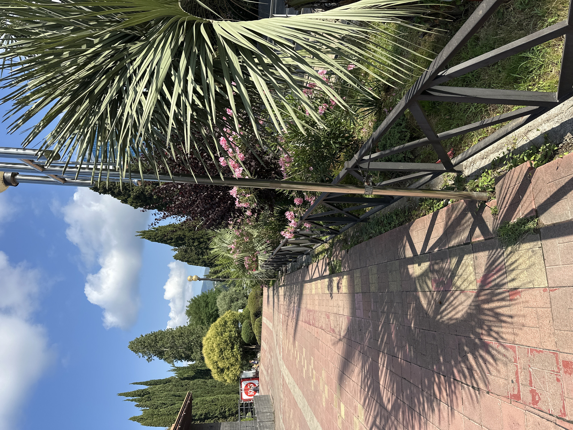 The image depicts a sunlit walkway paved with red and yellow bricks, casting long shadows from palm fronds. A black metal fence runs along the right side of the path, bordering a lush garden with pink flowers and various green plants, including a large palm tree. Tall cypress trees line the left side of the walkway, with a building visible in the background. The sky is a clear blue with scattered white clouds. The scene appears to be in a park or public space in Sochi, Russia, given the vegetation and architectural style. No people are visible in the image.