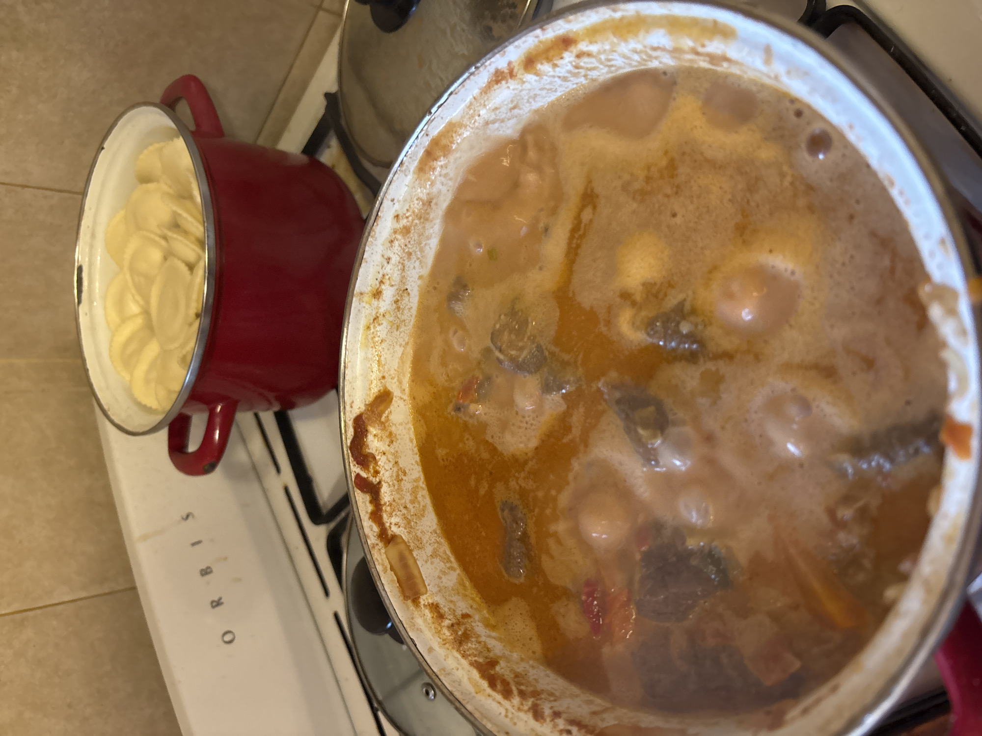 The image shows two pots on a white Orbis brand gas stovetop, likely in a kitchen. The stovetop is dirty. The kitchen is in Villa General Belgrano, Argentina. A red pot on the left contains uncooked dumplings. A larger pot to the right contains a stew or soup with visible pieces of meat, vegetables, and broth. The stew is simmering.