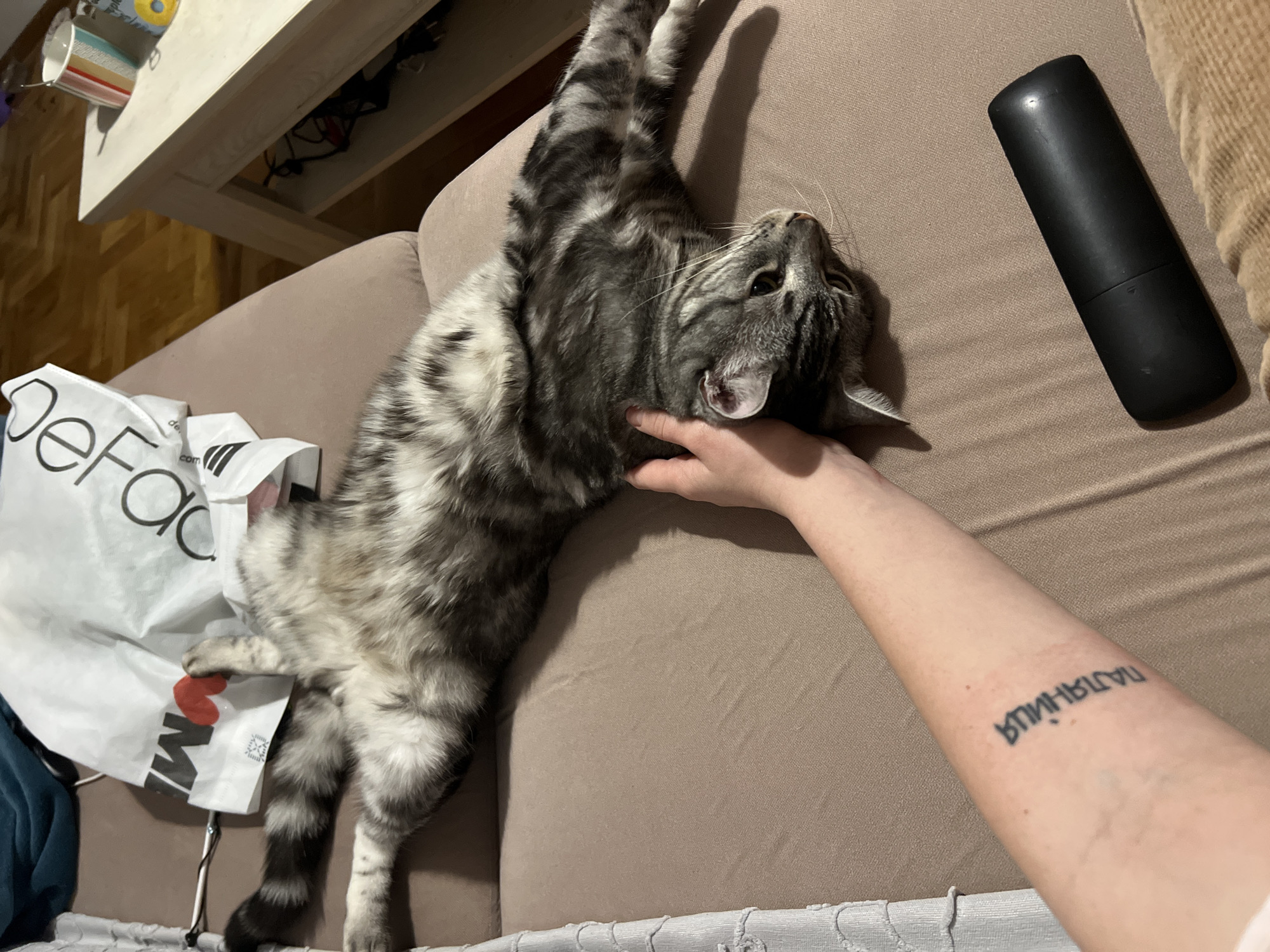 The image shows a gray tabby cat lying on its back on a beige couch. A person's arm, with a tattoo in Cyrillic script on the forearm, is touching the cat's neck. A black remote control is on the couch near the cat. A shopping bag with the brand name "Defacto" is near the cat's legs. A table is visible in the background. There is no indication of location in Boreti, Montenegro.