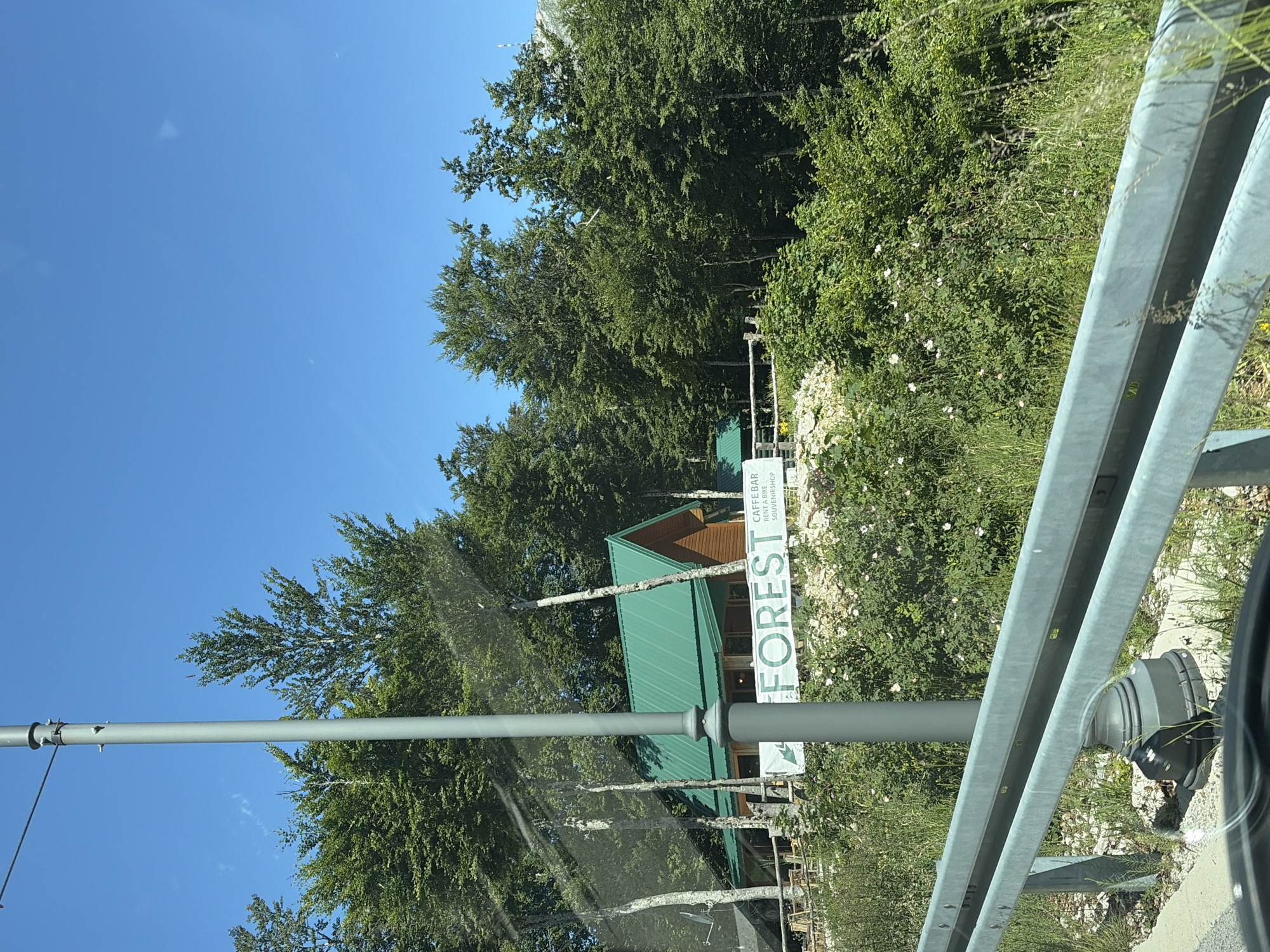 This image presents a detailed outdoor scene on a clear, sunny day in Mali Bostur, Montenegro. The perspective is from inside a vehicle, evidenced by subtle reflections and a dark, curved line at the very bottom center.
In the immediate foreground, a two-tier grey metal guardrail extends horizontally across the lower portion of the frame. Below the guardrail, a narrow strip of dark pavement is visible. Directly behind the guardrail on the left, a dark grey, ornate base of a light pole is situated amidst wild green grasses and various small bushes, some bearing white blossoms.
The midground is dominated by a tall, slender grey utility pole that vertically bisects the left-center of the image, obscuring part of the scene behind it. Behind the pole and further up an embankment, a rustic building with a prominent, bright green corrugated metal roof and natural wood siding is visible. A white banner with green text is stretched across the front of the building. Partially visible text on the banner includes "FOREST" in large letters, and smaller text to its right reads "CAFFE BAR", "RENT A BIKE", and "SOUVENIRSHOP". To the left of the building, an outdoor seating area featuring wooden tables and chairs is discernible behind a rustic log fence. The ground surrounding the building is rocky and covered with dense green vegetation.
The background consists of a dense forest of deciduous trees, characterized by their vibrant green foliage, extending across the entire upper-mid section of the image. The upper portion of the frame reveals a clear, deep blue sky with only minor, faint cloud formations. On the far right, a distant, light-colored mountain peak rises above the treeline. No individuals are present in the image.