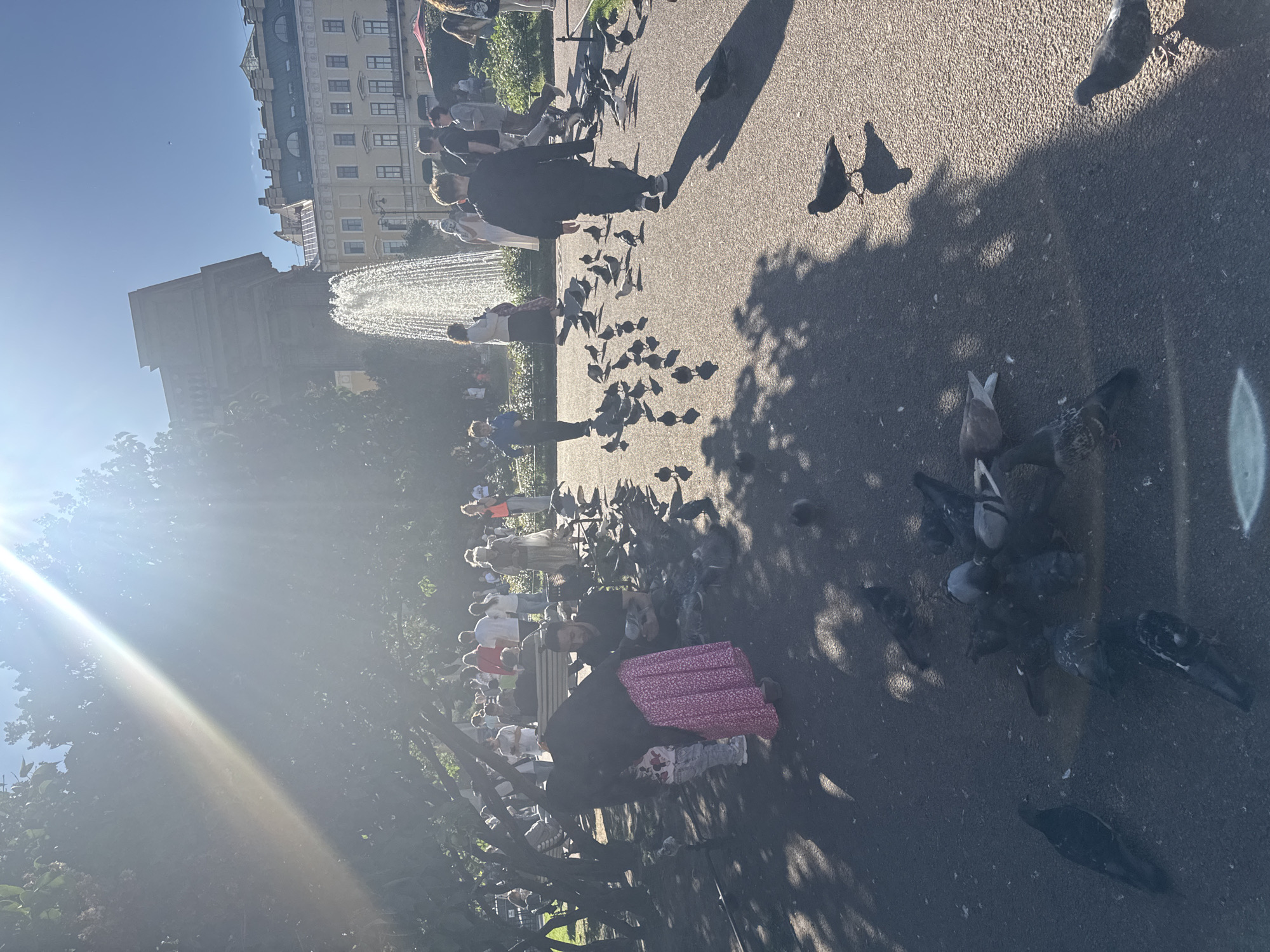 This is a vertical, eye-level shot of a public park in Saint Petersburg, Russia, on a sunny day. The sun is low in the sky, casting long shadows and creating a lens flare that stretches across the left side of the image. In the background, a large, ornate building with a Mansard roof and numerous windows suggests a historical district. A fountain is active, with water spraying upwards.
The foreground and midground are populated by numerous pigeons pecking at the ground. Several people are scattered throughout the park. Some are standing, observing the fountain or the pigeons, while others are walking. One person in the midground is seated on a bench, facing away from the camera, with a pink patterned blanket draped over their lap. The people are dressed in casual, warm-weather clothing. The overall mood seems relaxed and peaceful, typical of a sunny afternoon in a park. There is no visible text in the image.