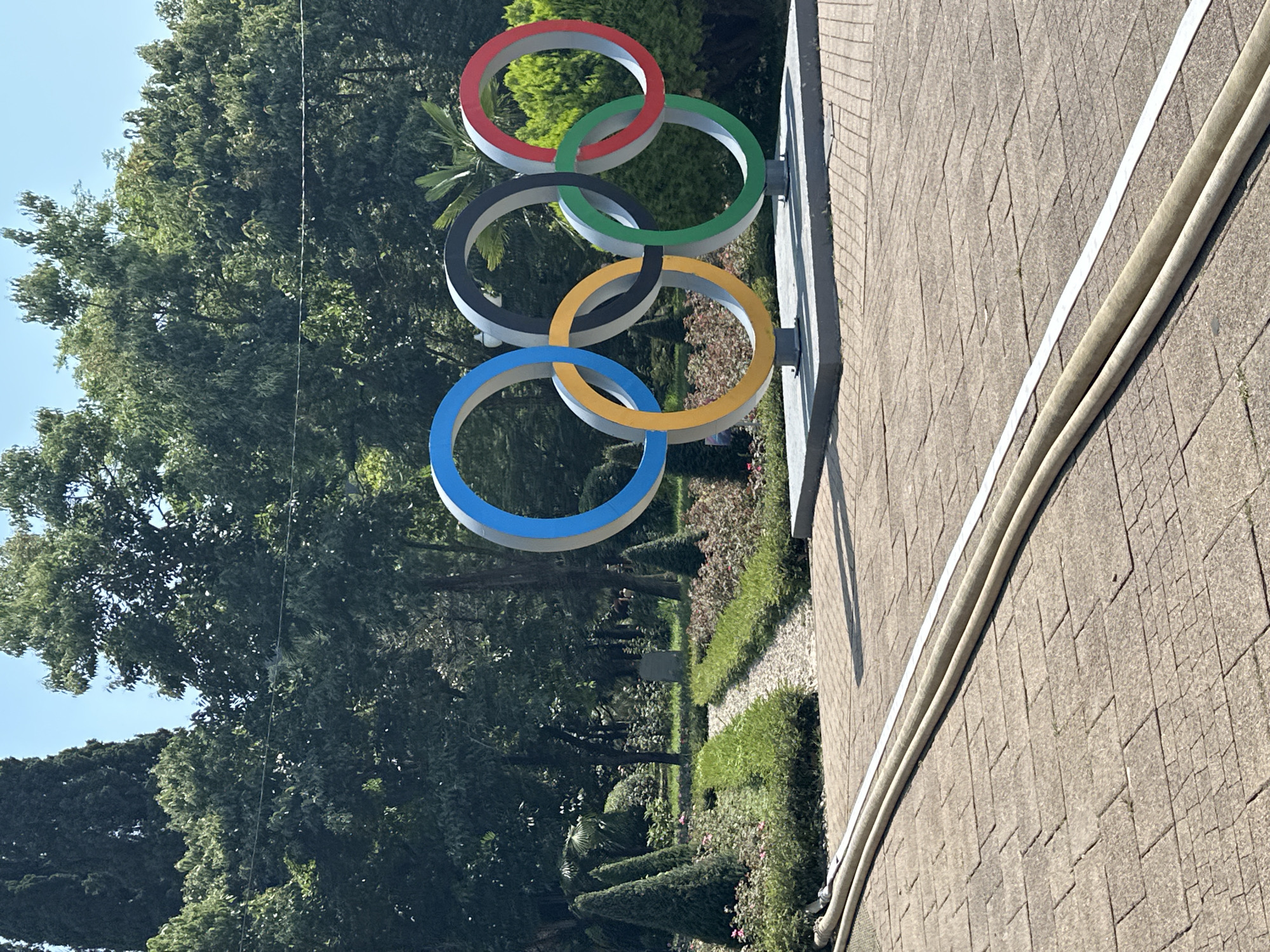 The image depicts the Olympic rings monument in Sochi, Russia, located in a park-like setting with lush green trees and manicured gardens. The monument, a replica of the iconic Olympic rings, is made of metal and painted in the traditional blue, black, yellow, green, and red colors. The rings are mounted on a concrete base and stand against a backdrop of dense foliage. In the foreground, the ground is paved with interlocking bricks, and two large hoses are laid across the pavement. The scene appears to be a sunny day, with clear blue skies overhead. The overall impression is one of a public space, likely a park or plaza, designed for recreation and commemoration.