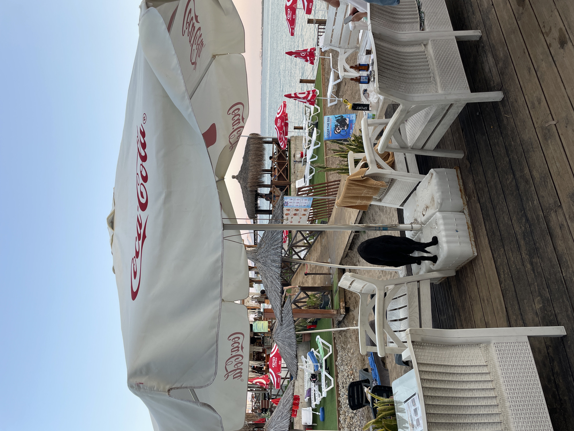The image depicts a beachside seating area under a large white Coca-Cola branded umbrella. In the foreground, several white plastic chairs and tables are arranged on a wooden deck. A black dog stands on a white plastic container in front of a chair. In the background, a wooden walkway leads to a thatched-roof structure with people sitting inside. Beach chairs and umbrellas are visible on the sand and artificial turf beyond the walkway, bordering the sea. The sky is clear and pale blue, indicating late afternoon or early evening. The location is identified as a beach in Trikomo, Northern Cyprus.