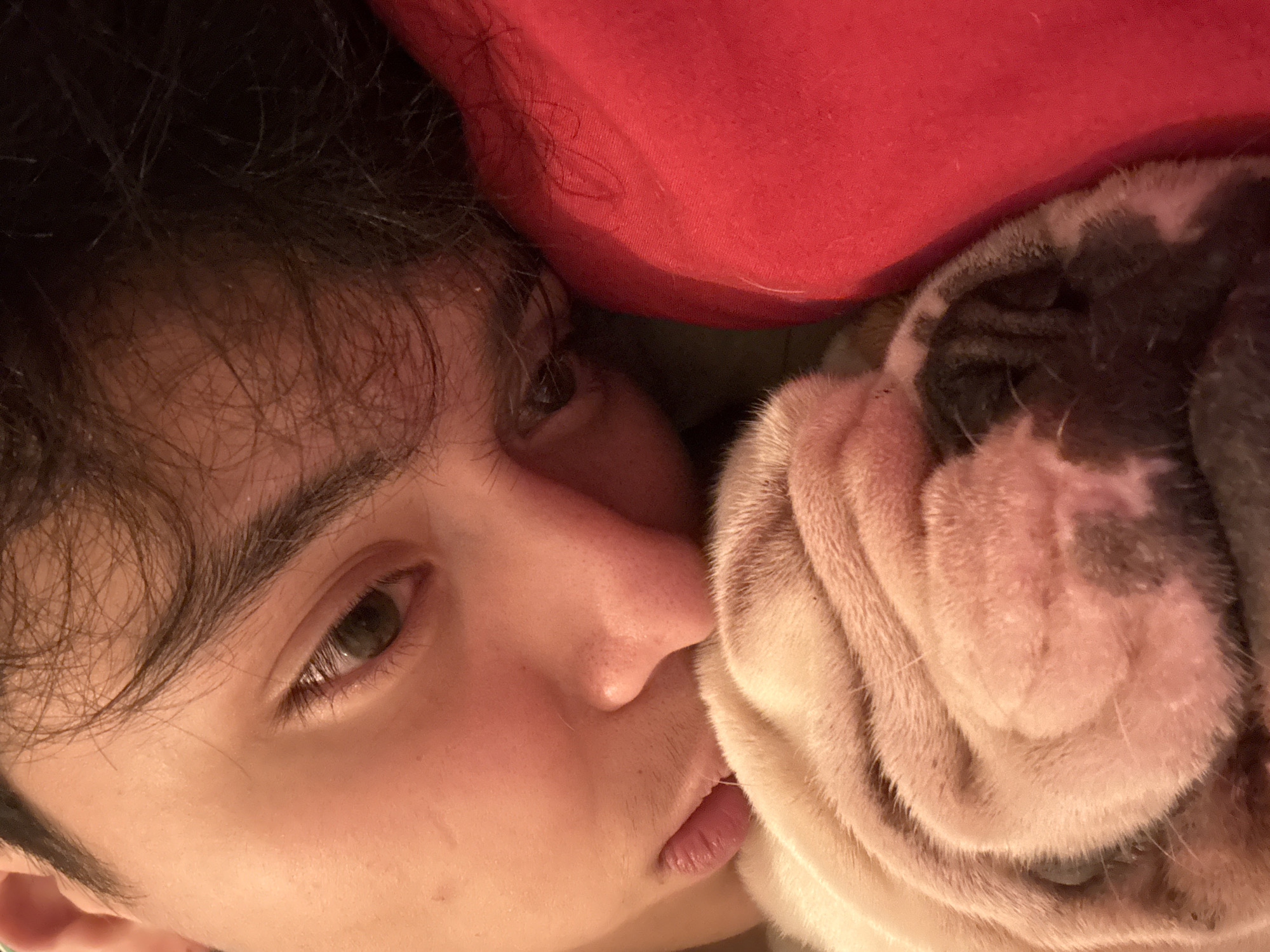 A person and a dog appear to be lying down together. The person, likely a young man, is seen from the forehead down, with dark hair and light skin, and is looking at the camera. His face appears relaxed. Adjacent to the person's face is a dog, possibly a bulldog, characterized by its wrinkled skin and markings, is also lying down with its face close to the person's. A red fabric is also visible near the top of the frame, possibly a blanket or clothing. The image is taken indoors, and the location is unknown.