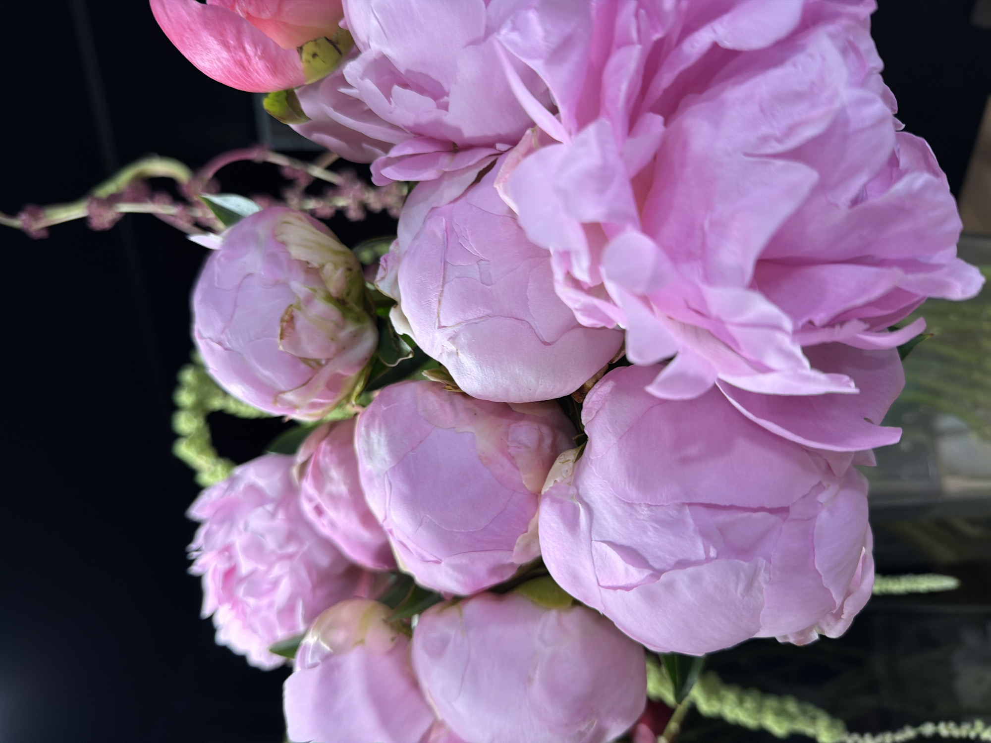 A close-up, low-angle shot of a bouquet of pink peonies against a dark background. The peonies are in various stages of bloom, with some tightly closed buds and others with petals beginning to unfurl. The lighting is soft, highlighting the delicate texture and soft hues of the flowers. The background is out of focus, creating a sense of depth and drawing attention to the floral arrangement. No people, specific actions, or interactions are depicted. The scene is likely indoors, given the controlled lighting and dark background.
