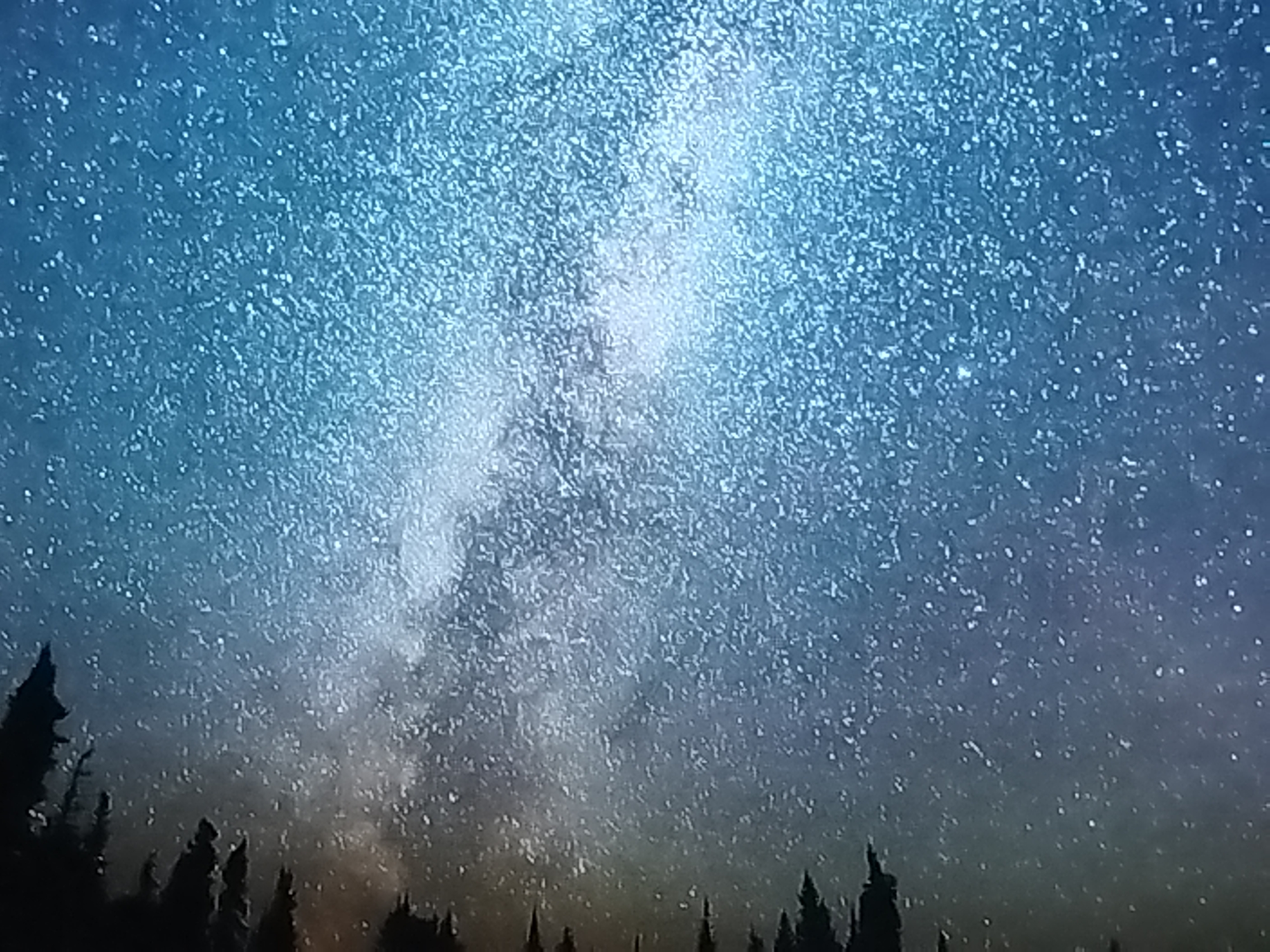 The image depicts a serene night sky filled with countless stars, forming the Milky Way across the vast expanse. Silhouetted against this celestial backdrop are the jagged peaks of evergreen trees, suggesting a forested or mountainous region. The foreground is dominated by the dark, pointed shapes of these trees, their forms starkly defined against the illuminated sky. The sky transitions from a deep, inky blue at the top to a lighter, warmer hue near the horizon, hinting at the subtle glow of twilight or distant city lights. The sheer density of stars suggests a location with minimal light pollution, allowing for a breathtaking view of the cosmos. The overall mood is one of tranquility and awe, inviting contemplation of the universe's grandeur. The image is undated and the specific location of Balashikha, Russia, provides a geographical context for this natural spectacle. No people, objects, text, or explicit events are discernible, emphasizing the raw beauty of the natural landscape under a starry sky.