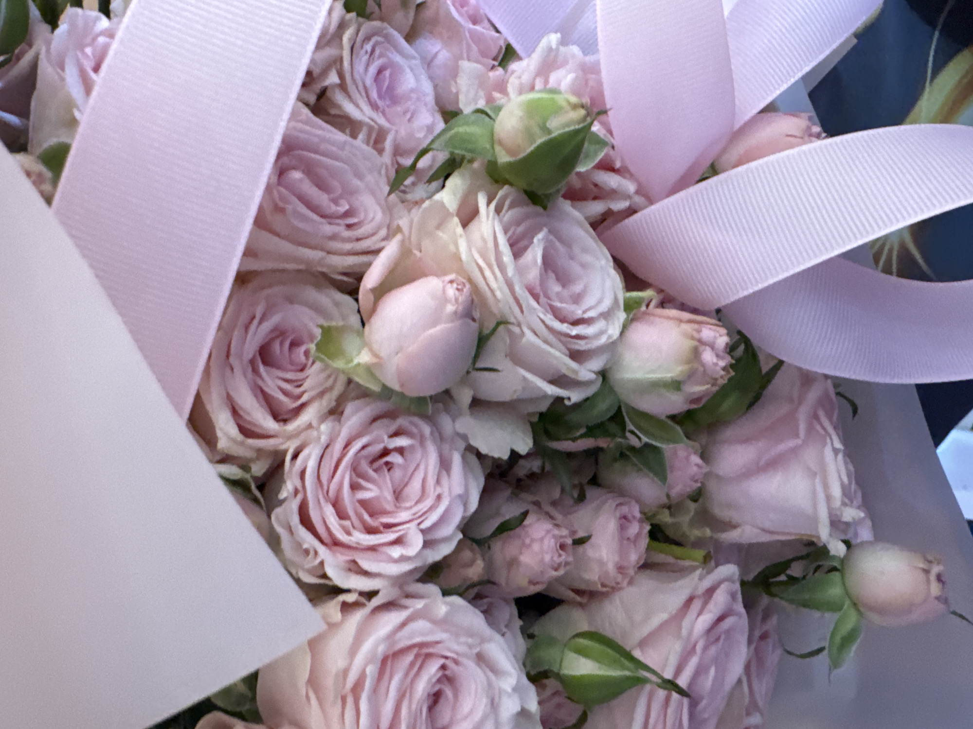 A close-up shot reveals a bouquet of pink roses, tightly packed together and interspersed with green buds. A wide, light pink ribbon is wrapped around the bouquet, adding to the visual texture. The image appears to be taken indoors, with a glimpse of a dark background visible behind the flowers and ribbon. The location, Batumi, Georgia, is not discernible from the visual details in the image.