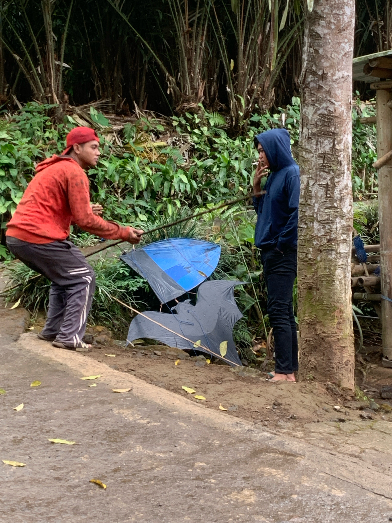 In Pronojiwo, Indonesia, two individuals are present near a pathway and lush vegetation. The person on the left, wearing a red hooded sweatshirt and a red baseball cap, is bent over, holding a string attached to two kites. One kite is a bright blue diamond shape, and the other is a dark gray kite, also diamond-shaped. Both kites appear to be on the ground. The individual on the right, wearing a dark blue hooded sweatshirt and dark pants, stands near a large tree and is smoking, holding a cigarette to their mouth. The ground is wet and covered with scattered leaves. The background consists of dense green foliage and tall trees.