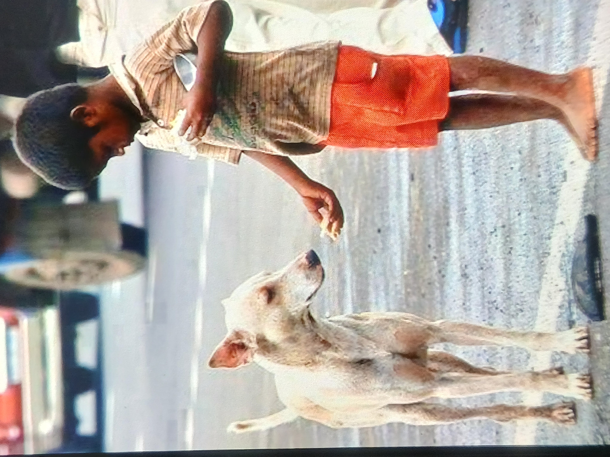 An Indonesian boy with dark skin and black hair stands barefoot on a paved street, wearing an orange t-shirt and orange shorts. He is holding a small metal bowl in his left hand and offering a piece of food with his right hand to a light-colored, thin dog standing in front of him. The dog is looking at the boy and the food. In the background, blurred figures and a vehicle suggest an urban setting in Setia Bakti, Indonesia. The ground is a grey, textured asphalt.