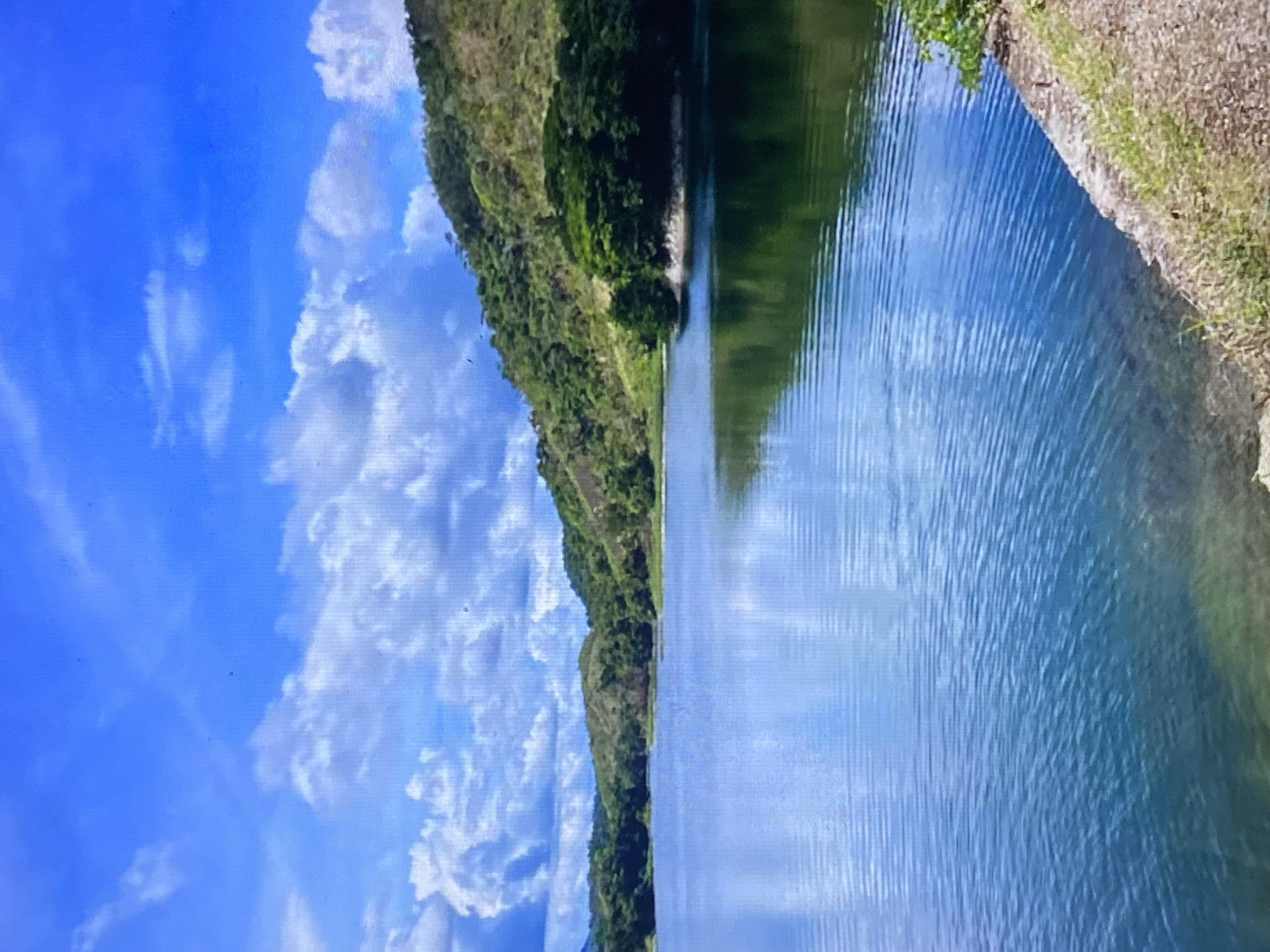 A serene landscape photograph captures a wide, calm body of water bordered by lush green terrain under a bright blue sky. The image is oriented with the horizon running horizontally through the middle, separating the sky and hills from the water and its reflections.
In the upper half of the frame, a vibrant blue sky is dotted with fluffy white cumulus clouds, indicating fair weather. Below this, a verdant, hilly or mountainous landscape stretches across the left side of the image. The slopes are covered in dense, rich green foliage, suggesting abundant vegetation.
The lower half of the image features a tranquil expanse of water, likely a river or reservoir, which perfectly mirrors the sky and the green hills. The reflection in the water is almost as clear as the actual sky and landscape, creating a sense of symmetry. Gentle ripples disturb the water's surface, particularly visible closer to the viewer on the right side, where a narrow strip of a dry, grassy bank is visible, suggesting a shoreline or path.
No people or man-made structures are evident, emphasizing the natural beauty and untouched quality of the scene. The bright lighting suggests it is daytime, likely a sunny morning or afternoon. The overall impression is one of peacefulness and natural grandeur, characteristic of a scenic natural area. Given the location context of Tinaquillo, Venezuela, this could depict one of the region's reservoirs or rivers, such as the Pao-Cachinche system or similar natural waterways in a tropical environment. There is no visible text in the image.