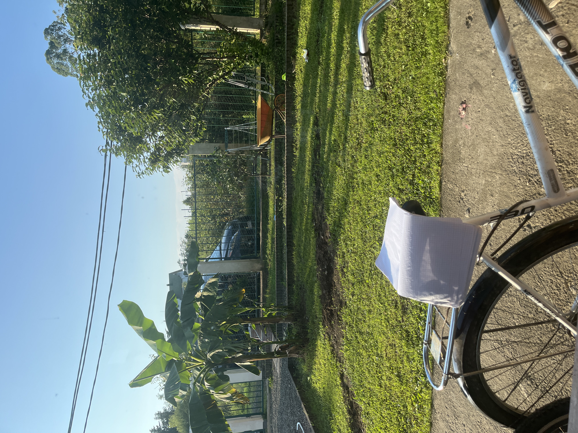 The image depicts a sunny outdoor scene with a lush green lawn and trees. In the foreground, a bicycle is parked, with a white folded item resting on its rear rack. The bicycle appears to be a "Navigator" model. Beyond the bicycle, a well-maintained garden area is visible, featuring a banana tree and a fence. Further in the background, a wheelbarrow is placed near a large tree, and a car is partially visible behind the fence. The overall setting suggests a residential or garden area in Ureki, Georgia. The sky is clear and blue, indicating pleasant weather conditions.