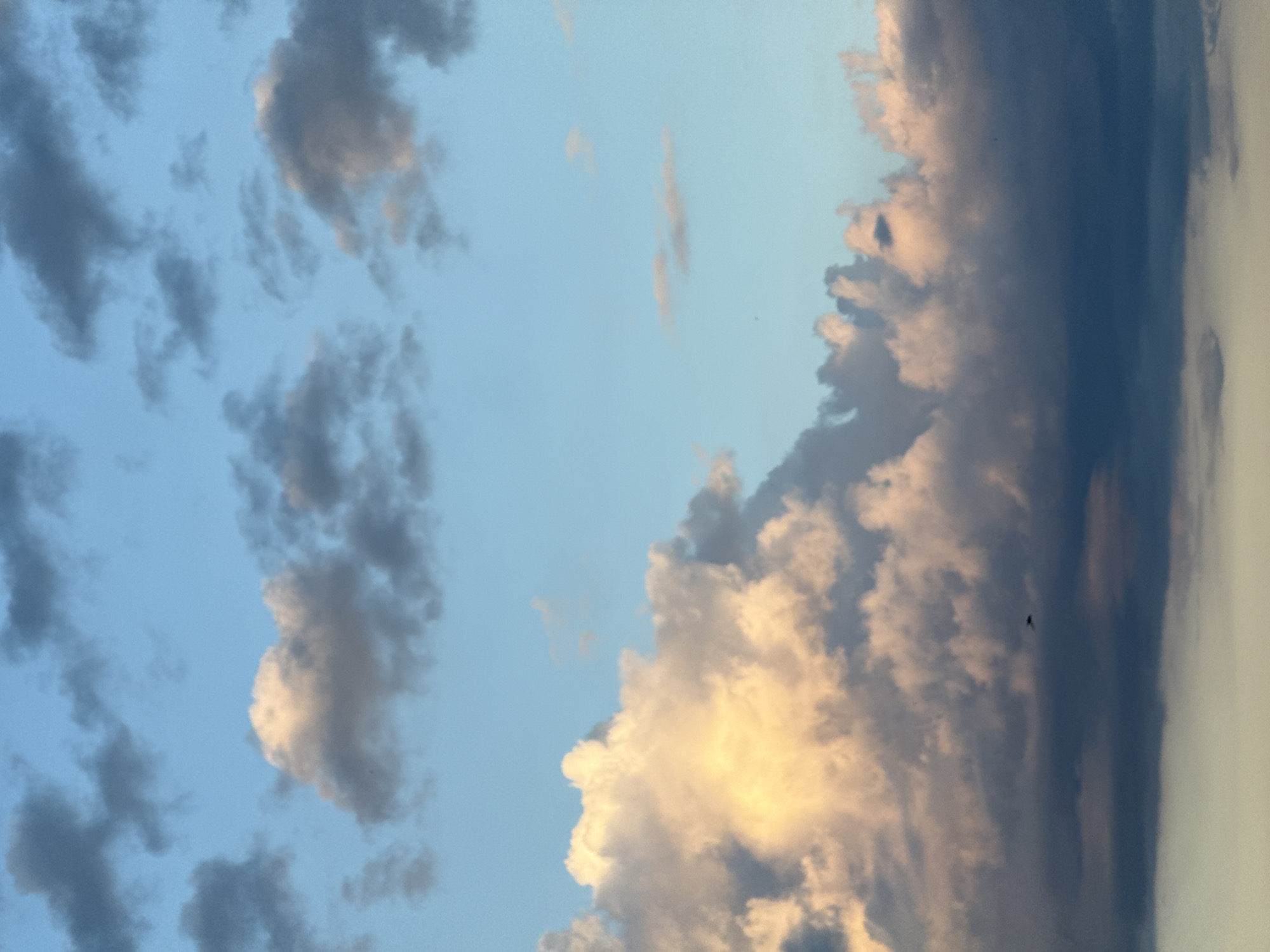 The image captures a dynamic sky at what appears to be either dawn or dusk, suggested by the warm, golden light illuminating some of the clouds. The scene is dominated by a vast expanse of sky filled with a mixture of dark, textured clouds and lighter, wispy formations. The lighting creates a dramatic contrast, with some clouds appearing dark and heavy, possibly indicating approaching rain, while others are brilliantly lit, creating a beautiful, almost ethereal glow. The overall impression is one of natural beauty and the changing moods of the sky. There are no discernible people, objects, or man-made structures in the frame, focusing solely on the atmospheric elements. The image conveys a sense of openness and the grandeur of nature.