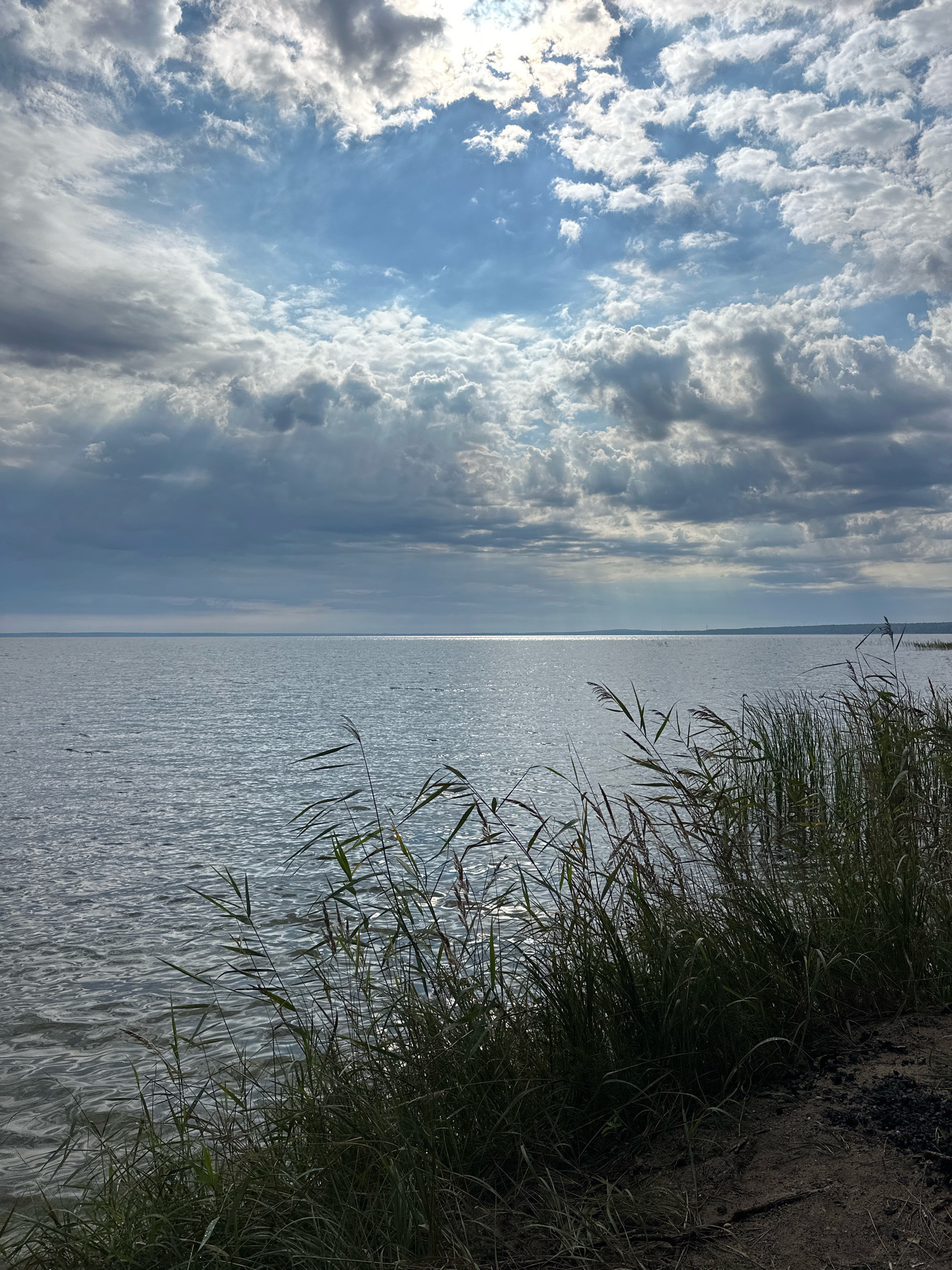 A wide shot captures a tranquil body of water under a dynamic sky. The water stretches to the horizon, its surface shimmering with reflected sunlight. The sky is a dramatic composition of bright blue patches peeking through thick, textured clouds that range from light gray to deep charcoal. In the foreground, tall, wild grasses and reeds grow along the bank, their green stalks swaying slightly. The ground beneath the vegetation is a mix of dark soil and scattered debris. The overall scene conveys a sense of natural beauty and vastness, with no people or man-made structures immediately visible. The location is likely near the Naroch Lake, within the Naratski Sel'skiy Sovet in Belarus.