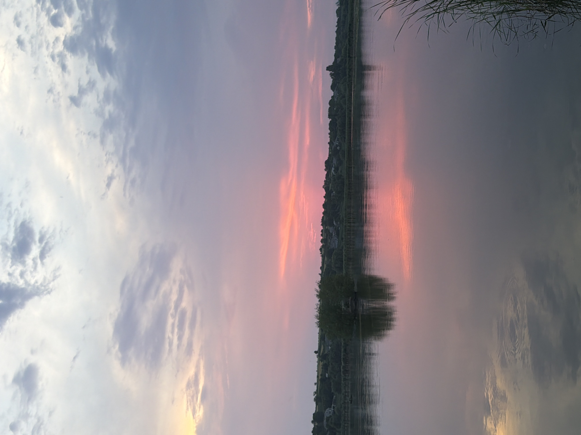 This image captures a serene natural scene at dusk. The dominant subjects are a vast body of water, a silhouetted tree line along its edge, and a dramatic sky filled with clouds. The water acts as a mirror, reflecting the colorful sky and the dark silhouette of the trees.
The activity taking place is passive observation of nature's beauty during sunset. The time of day is clearly evening, indicated by the soft, diffused light and the warm hues in the sky. The weather appears calm, with the water showing only gentle ripples. The setting is a tranquil, natural landscape, likely a lake or a wide river, bordered by vegetation and possibly a distant settlement visible as faint lights or structures within the tree line.
Notable details include the striking colors of the sunset, with streaks of pink and orange painting the sky, contrasting with the cooler blues and grays of the clouds. The reflection on the water is almost perfectly clear, creating a symmetrical visual experience. There are some tall grass blades in the upper right corner, adding a touch of foreground detail. The overall emotion evoked by the image is one of peace, tranquility, and awe at the natural world. No text is visible in the image.