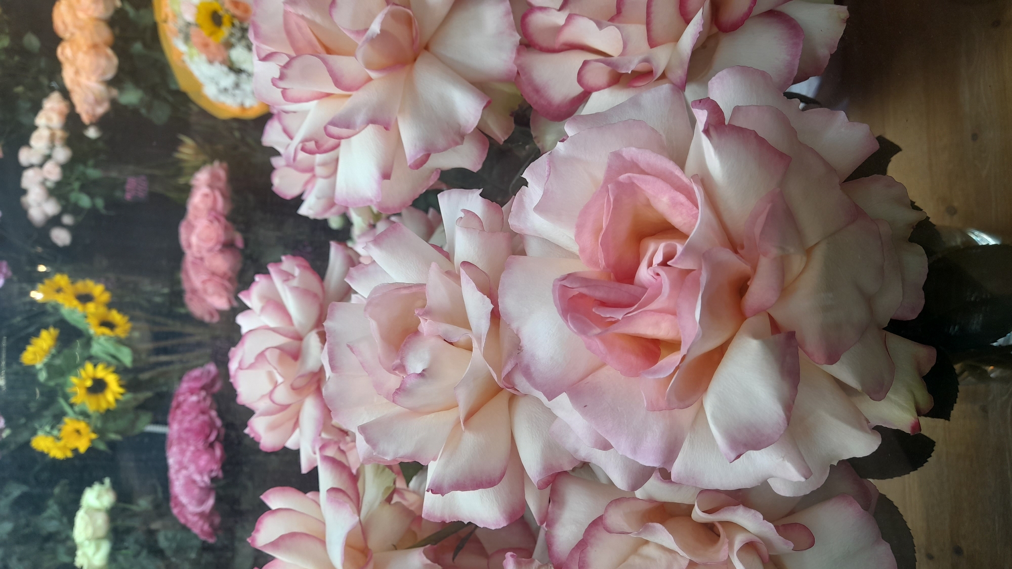 The image shows a bouquet of pink and white roses in close-up. In the background, there are other flowers, including sunflowers and pink carnations, seemingly behind glass. The location is not deducible from the image.