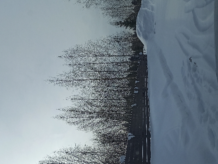 The image depicts a snow-covered outdoor environment in Nizhneye Zadolgoye, Russia, under an overcast sky. The immediate foreground is entirely covered in snow, exhibiting multiple shallow depressions and linear tracks. A dark, horizontal surface, consistent with a vehicle's dashboard or window frame, occupies the bottom edge of the frame. A dark-stained wooden fence, constructed from horizontal rails and vertical posts, stretches across the middle ground. Patches of snow adhere to the upper surfaces of the fence components. To the right of the fence, a substantial, irregularly shaped snowdrift or pile is present. Behind the fence, a dense concentration of tall, slender deciduous trees, devoid of foliage, stands against the bright, diffused light of the sky. Their branches reflect light, suggesting the presence of frost or ice. Scattered evergreen trees are interspersed within this tree line, particularly towards the right side of the frame. The sky, occupying the upper portion of the frame, is uniformly light gray and featureless, indicating overcast conditions. No persons, animals, or active events are depicted.
